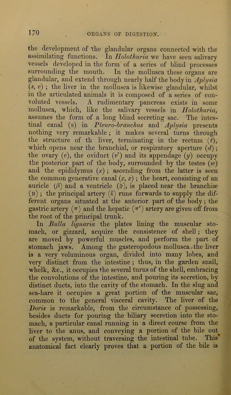 the development of the glandular organs connected with the assimilating functions. In Ilolothuria we have seen salivary vessels developed in the form of a series of blind processes surrounding the mouth. In the mollusca these organs are glandular, and extend through nearly half the body in Aplysia («, v) ; the liver in the mollusca is likewise glandular, whilst in the articulated animals it is composed of a series of con- voluted vessels. A rudimentary pancreas exists in some mollusca, which, like the salivary vessels in Holothuria, assumes the form of a long blind secreting sac. The intes- tinal canal (s) in Pleuro-branchus and Aplysia presents nothing very remarkable ; it makes several turns through the structure of th liver, terminating in the rectum (t), which opens near the branchial, or respiratory aperture (d); the ovary (v), the oviduct (V) and its appendage (y) occupy the posterior part of the body, surrounded by the testes (w) and the epididymus (x) ; ascending from the latter is seen the common generative canal (z, z); the heart, consisting of an auricle (]8) and a ventricle (S), is placed near the branchiae (b) ; the principal artery (?) runs forwards to supply the dif- ferent organs situated at the anterior part of the body; the gastric artery (*■) and the hepatic («■’) artery are given off from the root of the principal trunk. In Bulla lignaria the plates lining the muscular sto- mach, or gizzard, acquire the consistence of shell; they are moved by powerful muscles, and perform the part of stomach jaws. Among the gasteropodous mollusca the liver is a very voluminous organ, divided into many lobes, and very distinct from the intestine ; thus, in the garden snail, whelk, &c., it occupies the several turns of the shell, embracing the convolutions of the intestine, and pouring its secretion, by distinct ducts, into the cavity of the stomach. In the slug and sea-hare it occupies a great portion of the muscular sac, common to the general visceral cavity. The liver of the Doris is remarkable, from the circumstance of possessing, besides ducts for pouring the biliary secretion into the sto- mach, a particular canal running in a direct course from the liver to the anus, and conveying a portion of the bile out^ of the system, without traversing the intestinal tube. This* anatomical fact clearly proves that a portion of the bile is