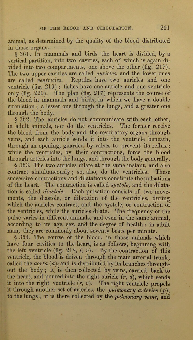 animal, as determined by the quality of the blood distributed in those organs. §361. In mammals and birds the heart is divided, by a vertical partition, into two cavities, each of which is again di- vided into two compartments, one above the other (fig. 217). The two upper cavities are called auricles, and the lower ones are called ventricles. Reptiles have two auricles and one ventricle (fig. 219) ; fishes have one auricle and one ventricle only (fig. 220). The plan (fig. 21/) represents the course of the blood in mammals and birds, in which we have a double circulation ; a lesser one through the lungs, and a greater one through the body. § 362. The auricles do not communicate with each other, in adult animals, nor do the ventricles. The former receive the blood from the body and the respiratory organs through veins, and each auricle sends it into the ventricle beneath, through an opening, guarded by valves to prevent its reflux ; while the ventricles, by their contractions, force the blood through arteries into the lungs, and through the body generally. § 363. The two auricles dilate at the same instant, and also contract simultaneously ; so, also, do the ventricles. These successive contractions and dilatations constitute the pulsations of the heart. The contraction is called systole, and the dilata- tion is called diastole. Each pulsation consists of two move- ments, the diastole, or dilatation of the ventricles, during which the auricles contract, and the systole, or contraction of the ventricles, while the auricles dilate. The frequency of the pulse varies in different animals, and even in the same animal, according to its age, sex, and the degree of health: in adult man, they are commonly about seventy beats per minute. § 364. The course of the blood, in those animals which have four cavities to the heart, is as follows, beginning with the left ventricle (fig. 218, l, v). By the contraction of this ventricle, the blood is driven through the main arterial trunk, called the aorta (a), and is distributed by its branches through- out the body ; it is then collected by veins, carried back to the heart, and poured into the right auricle (r, a), which sends it into the right ventricle (r, v). The right ventricle propels it through another set of arteries, the pulmonary arteries (p), to the lungs ; it is there collected by the pulmonary veins, and