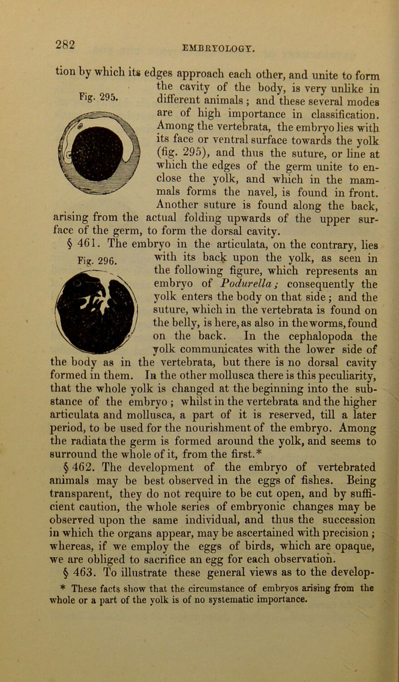 tion by which its edges approach each other, and unite to form the cavity of the body, is very unlike in are of high importance in classification. Among the vertebrata, the embryo lies with its face or ventral surface towards the yolk (fig. 295), and thus the suture, or line at which the edges of the germ unite to en- close the yolk, and which in the mam- mals forms the navel, is found in front. Another suture is found along the back, arising from the actual folding upwards of the upper sur- face of the germ, to form the dorsal cavity. § 461. The embryo in the articulata, on the contrary, lies with its back upon the yolk, as seen in the following figure, which represents an embryo of Podurella; consequently the yolk enters the body on that side ; and the suture, which in the vertebrata is found on the belly, is here, as also in the worms, found on the back. In the cephalopoda the yolk communicates with the lower side of the body as in the vertebrata, but there is no dorsal cavity formed in them. In the other mollusca there is this peculiarity, that the whole yolk is changed at the beginning into the sub- stance of the embryo ; whilst in the vertebrata and the higher articulata and mollusca, a part of it is reserved, till a later period, to be used for the nourishment of the embryo. Among the radiata the germ is formed around the yolk, and seems to surround the whole of it, from the first.* § 462. The development of the embryo of vertebrated animals may be best observed in the eggs of fishes. Being transparent, they do not require to be cut open, and by suffi- cient caution, the whole series of embryonic changes may be observed upon the same individual, and thus the succession in which the organs appear, may be ascertained with precision; whereas, if we employ the eggs of birds, which are opaque, we are obliged to sacrifice an egg for each observation. § 463. To illustrate these general views as to the develop- * These facts show that the circumstance of embryos arising from the whole or a part of the yolk is of no systematic importance.