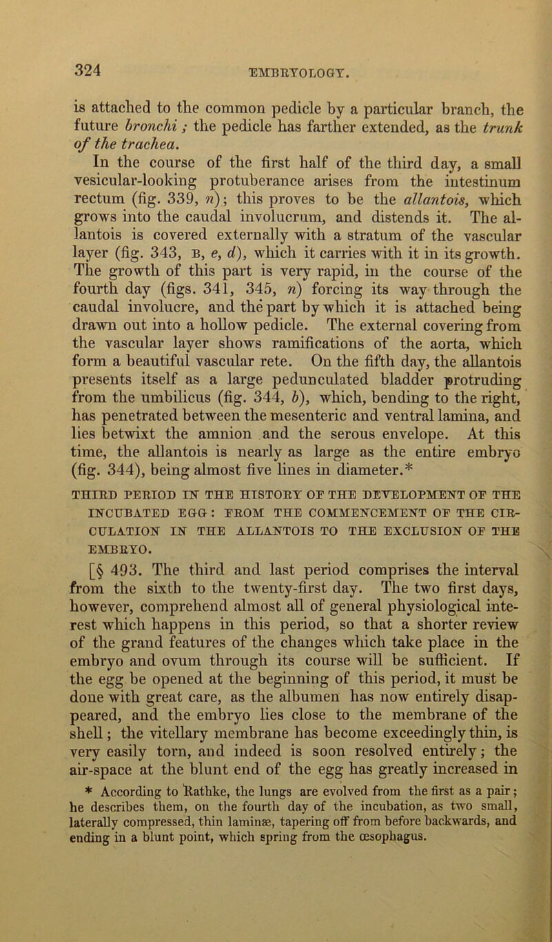 is attached to the common pedicle by a particular branch, the future bronchi; the pedicle has farther extended, as the trunk of the trachea. In the course of the first half of the third day, a small vesicular-looking protuberance arises from the intestinum rectum (fig. 339, n); this proves to be the allantois, which grows into the caudal involucrum, and distends it. The al- lantois is covered externally with a stratum of the vascular layer (fig. 343, b, e, d), which it carries with it in its growth. The growth of this part is very rapid, in the course of the fourth day (figs. 341, 345, n) forcing its way through the caudal involucre, and the part by which it is attached being drawn out into a hollow pedicle. The external covering from the vascular layer shows ramifications of the aorta, which form a beautiful vascular rete. On the fifth day, the allantois presents itself as a large pedunculated bladder protruding from the umbilicus (fig. 344, b), which, bending to the right, has penetrated between the mesenteric and ventral lamina, and lies betwixt the amnion and the serous envelope. At this time, the allantois is nearly as large as the entire embryo (fig. 344), being almost five lines in diameter.* THIRD PERIOD IN THE HISTORY OE THE DEVELOPMENT OE THE INCUBATED EGG : EROM THE COMMENCEMENT OE THE CIR- CULATION IN THE ALLANTOIS TO THE EXCLUSION OE THE EMBRYO. [§ 493. The third and last period comprises the interval from the sixth to the twenty-first day. The twro first days, however, comprehend almost all of general physiological inte- rest which happens in this period, so that a shorter review of the grand features of the changes which take place in the embryo and ovum through its course will be sufficient. If the egg be opened at the beginning of this period, it must be done with great care, as the albumen has now entirely disap- peared, and the embryo lies close to the membrane of the shell; the vitellary membrane has become exceedingly thin, is very easily torn, and indeed is soon resolved entirely; the air-space at the blunt end of the egg has greatly increased in * According to Itathke, the lungs are evolved from the first as a pair; he describes them, on the fourth day of the incubation, as two small, laterally compressed, thin laminae, tapering off from before backwards, and ending in a blunt point, which spring from the oesophagus.