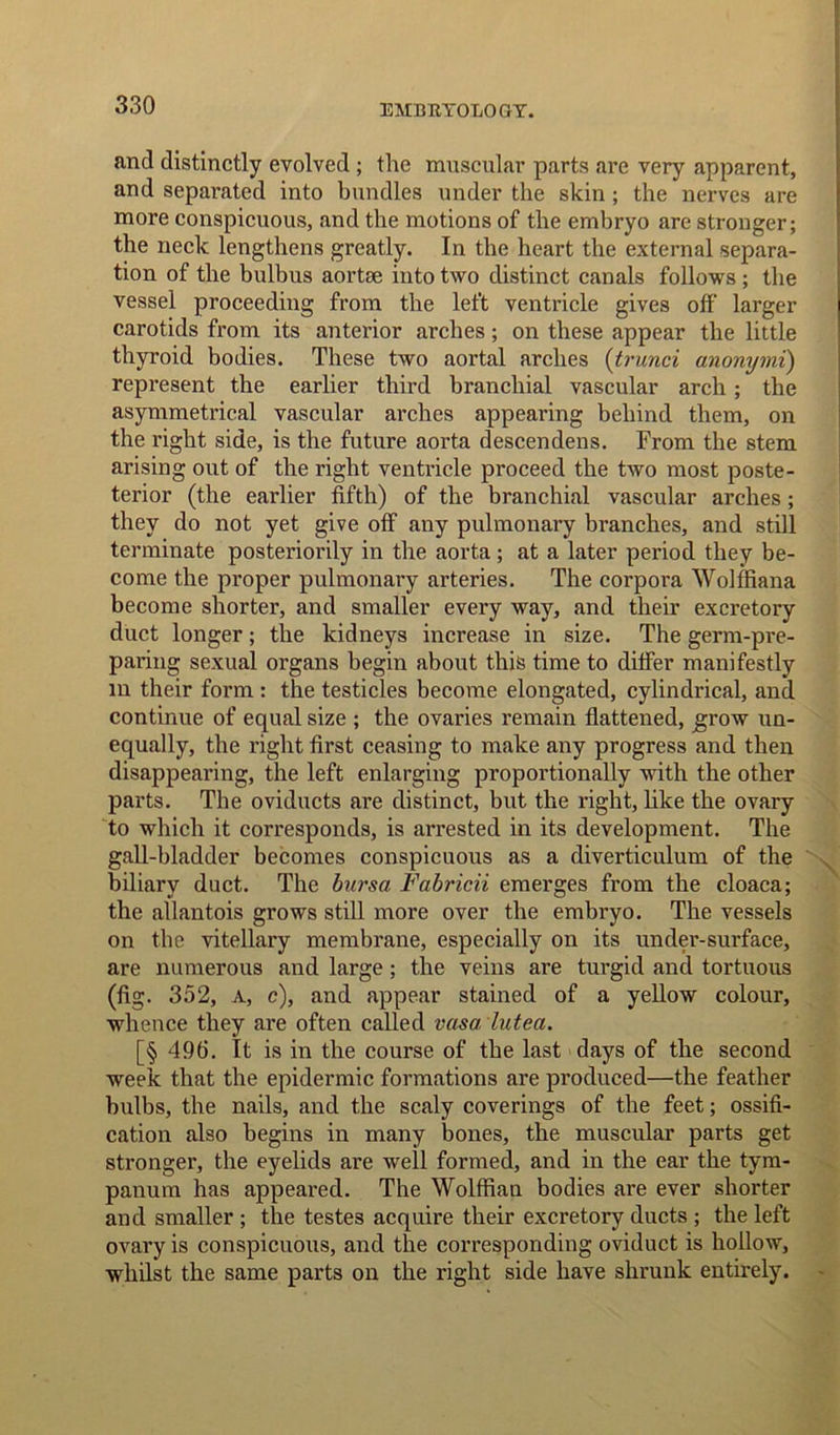 and distinctly evolved ; the muscular parts are very apparent, and separated into bundles under the skin ; the nerves are more conspicuous, and the motions of the embryo are stronger; the neck lengthens greatly. In the heart the external separa- tion of the bulbus aortse into two distinct canals follows ; the vessel proceeding from the left ventricle gives off larger carotids from its anterior arches; on these appear the little thyroid bodies. These two aortal arches (trunci anonymi) represent the earlier third branchial vascular arch; the asymmetrical vascular arches appearing behind them, on the right side, is the future aorta descendens. From the stem arising out of the right ventricle proceed the two most poste- terior (the earlier fifth) of the branchial vascular arches; they do not yet give off any pulmonary branches, and still terminate posteriorily in the aorta; at a later period they be- come the proper pulmonary arteries. The corpora Wolffiana become shorter, and smaller every way, and their excretory duct longer; the kidneys increase in size. The germ-pre- paring sexual organs begin about this time to differ manifestly in their form : the testicles become elongated, cylindrical, and continue of equal size ; the ovaries remain flattened, grow un- equally, the right first ceasing to make any progress and then disappearing, the left enlarging proportionally with the other parts. The oviducts are distinct, but the right, like the ovary to which it corresponds, is arrested in its development. The gall-bladder becomes conspicuous as a diverticulum of the biliary duct. The bursa Fabricii emerges from the cloaca; the allantois grows still more over the embryo. The vessels on the vitellary membrane, especially on its under-surface, are numerous and large ; the veins are turgid and tortuous (fig. 352, a, c), and appear stained of a yellow colour, whence they are often called vasa, lutea. [§ 495. It is in the course of the last days of the second week that the epidermic formations are produced—the feather bulbs, the nails, and the scaly coverings of the feet; ossifi- cation also begins in many bones, the muscular parts get stronger, the eyelids are well formed, and in the ear the tym- panum has appeared. The Wolffian bodies are ever shorter and smaller ; the testes acquire their excretory ducts ; the left ovary is conspicuous, and the corresponding oviduct is hollow, whilst the same parts on the right side have shrunk entirely.