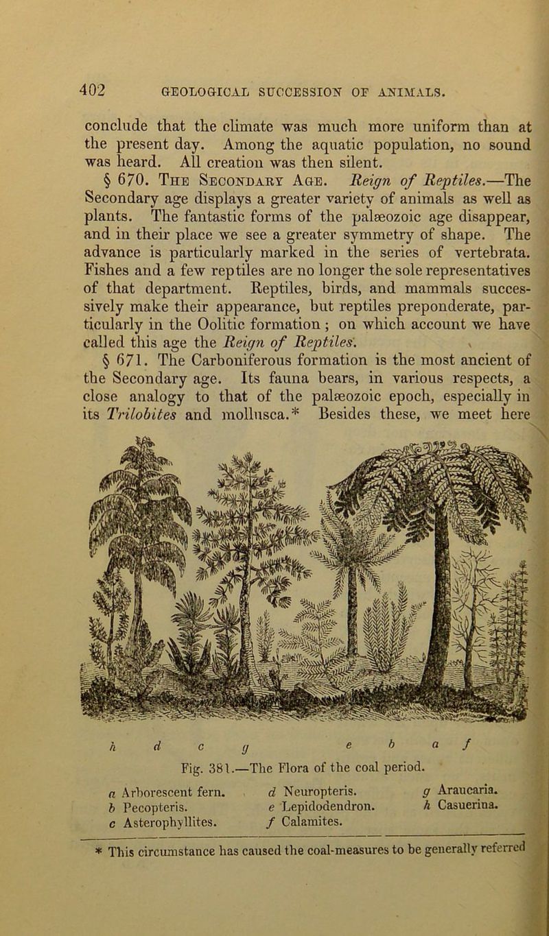 * This circumstance has caused the coal-measures to be generally referred conclude that the climate was much more uniform than at the present day. Among the aquatic population, no sound was heard. All creation was then silent. § 670. The Secondaby Age. Reign of Reptiles.—The Secondary age displays a greater variety of animals as well as plants. The fantastic forms of the palaeozoic age disappear, and in then’ place we see a greater symmetry of shape. The advance is particularly marked in the series of vertebrata. Fishes and a few reptiles are no longer the sole representatives of that department. Reptiles, birds, and mammals succes- sively make their appearance, but reptiles preponderate, par- ticularly in the Oolitic formation ; on which account we have called this age the Reign of Reptiles. , § 671. The Carboniferous formation is the most ancient of the Secondary age. Its fauna bears, in various respects, a close analogy to that of the palaeozoic epoch, especially in its Trilobites and mollusca.* Besides these, we meet here h d c y e b a f Fig. 381.—The Flora of the coal period. a Arborescent fern. d Neuropteris. g Araucaria. b Pecopteris. e Lepidodendron. h Casuerina. c Asterophyllites. / Calamites.