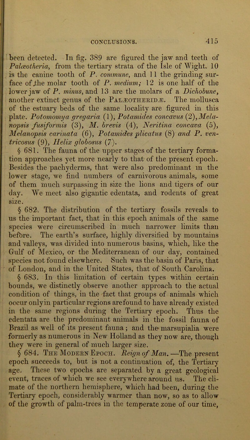 been detected. In fig. 389 are figured the jaw and teeth of Palceotheria, from the tertiary strata of the Isle of Wight. 10 is the canine tooth of P. commune, and 11 the grinding sur- face of .the molar tooth of P. medium; 12 is one half of the lower jaw of P. minus, and 13 are the molars of a Dichobune, another extinct genus of the Palj^otherid.®. The mollusca of the estuary beds of the same locality are figured in this plate. Potomomya gregdria (1), Potamides concavus (2),Mela- nopsis fusiformis (3), M. brevis (4), Neritina concava (5), Melanopsis cariuata (6), Potamides plicatus (8) and P. ven- tricosus (9), Helix globosus (7). § 681. The fauna of the upper stages of the tertiary forma- tion approaches yet more nearly to that of the present epoch. Besides the pachyderms, that were also predominant m the lower stage, we find numbers of carnivorous animals, some of them much surpassing in size the lions and tigers of our day. We meet also gigantic edentata, and rodents of great size. § 682. The distribution of the tertiary fossils reveals to us the important fact, that in this epoch animals of the same species were circumscribed in much narrower limits than before. The earth’s surface, highly diversified by mountains and valleys, was divided into numerous basins, which, like the Gulf of Mexico, or the Mediterranean of our day, contained species not found elsewhere. Such was the basin of Paris, that of London, and in the United States, that of South Carolina. § 683. In this limitation of certain types within certain bounds, we distinctly observe another approach to the actual condition of things, in the fact that groups of animals which occur only in particular regions are found to have already existed in the same regions during the Tertiary epoch. Thus the edentata are the predominant animals in the fossil fauna of Brazil as well of its present fauna; and the- marsupialia were formerly as numerous in New Holland as they now are, though they were in general of much larger size. § 684. The Modern Epoch. Reign of Man.—The present epoch succeeds to, but is not a continuation of, the Tertiary age. These two epochs are separated by a great geological event, traces of which we see everywhere around us. The cli- mate of the northern hemisphere, which had been, during the Tertiary epoch, considerably warmer than now, so as to allow of the growth of palm-trees in the temperate zone of our time,