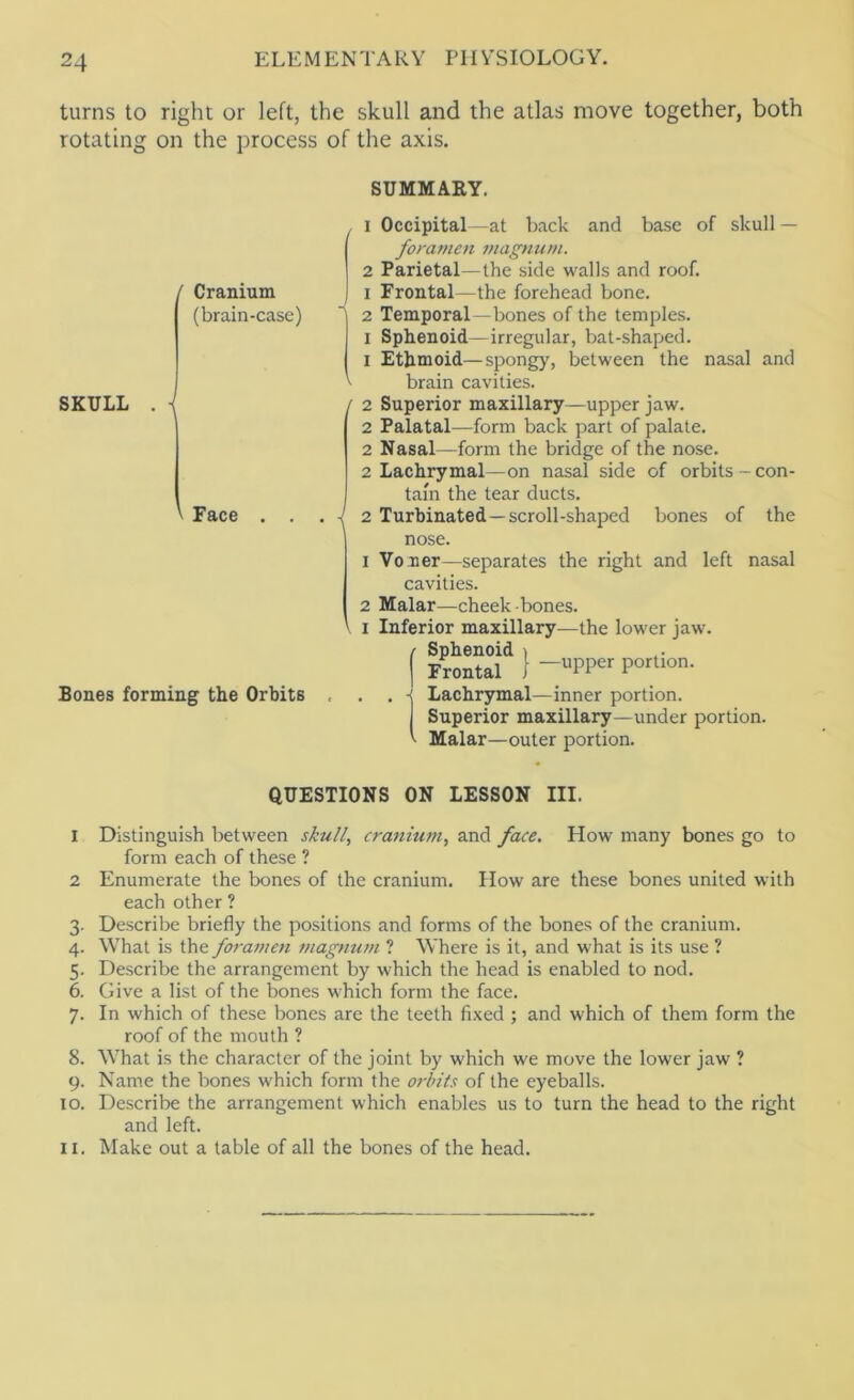 turns to right or left, the skull and the atlas move together, both rotating on the process of the axis. / Cranium (brain-case) SKULL .I ' Face . . Bones forming the Orbits SUMMARY. , I Occipital—at back and base of skull — foramen magnum. 2 Parietal—the side walls and roof. 1 Frontal—the forehead bone. 2 Temporal—bones of the temples. I Sphenoid—irregular, bat-shaped. 1 Ethmoid—spongy, between the nasal and ^ brain cavities. / 2 Superior maxillary—upper jaw. 2 Palatal—form back part of palate. 2 Nasal—form the bridge of the nose. 2 Lachrymal—on nasal side of orbits-con- tain the tear ducts. . -I 2 Turbinated—scroll-shaped bones of the nose. 1 Vo xer—separates the right and left nasal cavities. 2 Malar—cheek bones. I Inferior maxillary—the lower jaw. Sphenoid i Frontal 1 -( Lachrymal—inner portion. Superior maxillary—under portion. Malar—outer portion. QUESTIONS ON LESSON III. 1 Distinguish between sAu/l, cranium., and face. How many bones go to form each of these ? 2 Enumerate the bones of the cranium. How are these bones united with each other ? 3- Describe briefly the positions and forms of the bones of the cranium. 4. What is the foramen magnum ? Where is it, and what is its use ? 5. Describe the arrangement by which the head is enabled to nod. 6. Give a list of the bones which form the face. 7. In which of these bones are the teeth fixed ; and which of them form the roof of the mouth ? 8. What is the character of the joint by which we move the lower jaw ? 9. Name the bones which form the orbits of the eyeballs. 10. Describe the arrangement which enables us to turn the head to the right and left. 11. Make out a table of all the bones of the head.