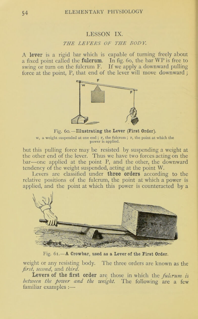 LESSON IX. THE LEVERS OE THE BODY. A lever is a rigid bar which is capable of turning freely about a fixed point called the fulcrum. In fig. 6o, the bar WP is free to swing or turn on the fulcrum F. If w'e apply a downward pulling force at the point, P, that end of the lever will move downward ; Fig. 6o.—Illustrating the Lever (First Order). \v, a weight suspended at one end ; f, the fulcrum; P, the point at which the power is applied. but this pulling force may be resisted by suspending a weight at the other end of the lever. Thus we have two forces acting on the bar—one applied at the point P, and the other, the downward tendency of the weight suspended, acting at the point W. Levers are classified under three orders according to the relative positions of the fulcrum, the point at which a power is applied, and the point at which this power is counteracted by a Fig. 6i.—A Crowbar, used as a Lever of the First Order. weight or any resisting body. The three orders are known as the first., second, and third. Levers of the first order are those in which the fulcrum is between the poiver and the weight. The following are a few familiar examples :—