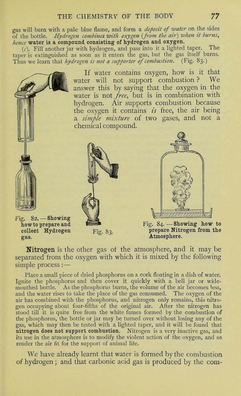 gas will burn with a pale blue flame, and form a deposit of water on the sides of the bottle. Hydrogen combines with oxygen {from the a?r) when it burns, hence water is a compound consisting of hydrogen and oxygen. (f). Fill another jar with hydrogen, and pass into it a lighted taper. The taper is extinguished as soon as it enters the gas, but the gas itself burns. Thus we learn that hydrogen is not a supporter of combustion. (Fig. 83.) Fig. 82. — Showing how to prepare and collect Hydrogen gas. If water contains oxygen, how is it that water will not support combustion ? We answer this by saying that the oxygen in the water is not free, but is in combination with hydrogen. Air supports combustion because the oxygen it contains is free, the air being a simple mixture of two gases, and not a chemical compound. Fig. 83. Fig. 84. — Showing how to prepare Nitrogen from the Atmosphere. Nitrogen is the other gas of the atmosphere, and it may be separated from the oxygen with which it is mixed by the following simple process:— Place a small piece of dried phosphorus on a cork floating in a dish of water. Ignite the phosphorus and then cover it quickly with a bell jar or wide- mouthed bottle. As the phosphorus burns, the volume of the air becomes less, and the water rises to take the place of the gas consumed. The oxygen of the air has combined with the phosphorus, and nitrogen only remains, this nitro- gen occupying about four-fifths of the original air. After the nitrogen has stood till it is quite free from the white fumes formed by the combustion of the phosphorus, the bottle or jar may be turned over without losing any of the gas, which may then be tested with a lighted taper, and it will be found that nitrogen does not support combustion. Nitrogen is a very inactive gas, and its use in the atmosphere is to modify the violent action of the oxygen, and so render the air fit for the support of animal life. We have already learnt that water is formed by the combustion of hydrogen; and that carbonic acid gas is produced by the com-