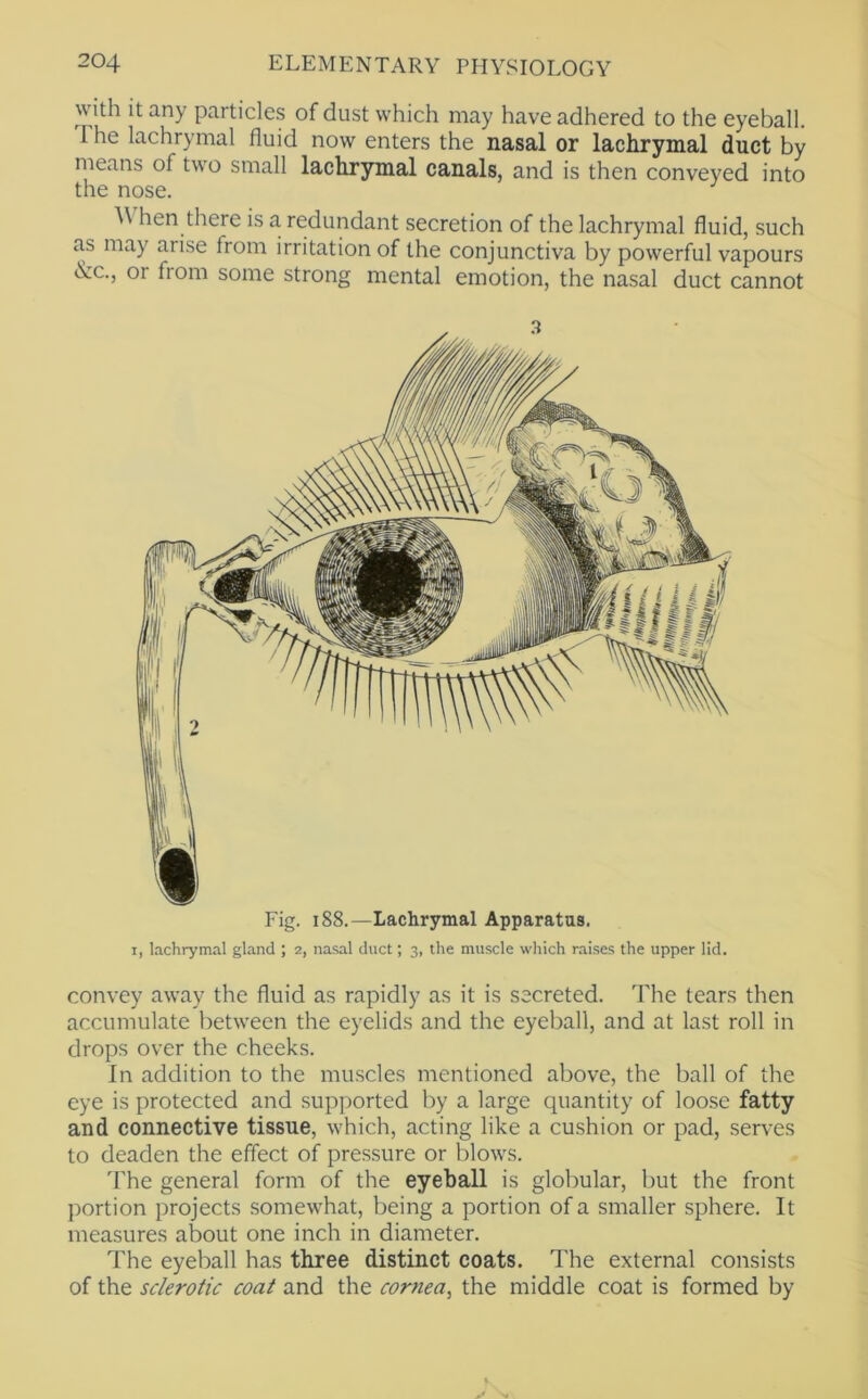 with it any particles of dust which may have adhered to the eyeball. The lachrymal fluid now enters the nasal or lachrymal duct by means of two small lachrymal canals, and is then conveyed into the nose. hen there is a redundant secretion of the lachrymal fluid, such a.s may arise from irritation of the conjunctiva by powerful vapours &c., or from some strong mental emotion, the nasal duct cannot Fig. 188.—Lachrymal Apparatus. I, lachrymal gland ; 2, nasal duct; 3, the muscle which raises the upper lid. convey away the fluid as rapidly as it is secreted. The tears then accumulate between the eyelids and the eyeball, and at last roll in drops over the cheeks. In addition to the muscles mentioned above, the ball of the eye is protected and supported by a large quantity of loose fatty and connective tissue, which, acting like a cushion or pad, serves to deaden the effect of pressure or blows. 'Fhe general form of the eyeball is globular, but the front portion projects somewhat, being a portion of a smaller sphere. It measures about one inch in diameter. The eyeball has three distinct coats. The external consists of the sclerotic coat and the cornea^ the middle coat is formed by