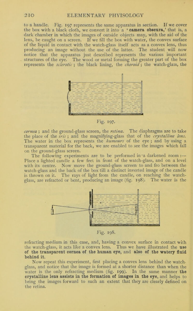 to a handle. Eig. 197 represents the same apparatus in section. If we cover the box with a black cloth, we convert it into a ‘ camera obscura,’ that is, a dark chamber in which the images of outside objects may, with the aid of the lens, be caught on a screen. If we fdl the box with water, the convex surface of the liquid in contact with the watch-glass itself acts as a convex lens, thus producing an image without the use of the latter. The student will now notice that the apparatus just described represents the various important structures of the eye. The wood or metal forming the greater part of the box represents the sclerotic ; the black lining, the choroid; the watch-glass, the cornea ; and the ground-glass screen, the retina. The diaphragms are to take the place of the iris ; and the magnifying-glass that of the crystalline lens. The water in the box represents the humours of the eye ; and by using a transparent material for the back, we are enabled to see the images which fall on the ground-glass screen. The following experiments are to be performed in • a darkened room:— Place a lighted candle a few feet in front of the w'atch-glass, and on a level with its centre. Now move the ground-glass screen to and fro between the watch-glass and the back of the box till a distinct inverted image of the candle is thrown on it. The rays of light from the candle, on reaching the watch- glass, are refracted or bent, producing an image (fig. 198). The water is the refracting medium in this case, and, having a convex surface in contact with the watch-glass, it acts like a convex lens. Thus we have illustrated the use of the transparent cornea of the human eye, and also of the watery fluid behind it. Now repeat this experiment, first placing a convex lens behind the watch- glass, and notice that the image is formed at a shorter distance than w'hen the water is the only refracting medium (fig. 199). In the same manner the crystalline lens assists in the formation of images in the eye, and helps to bring the images forward to such an extent that they are clearly defined on the retina.