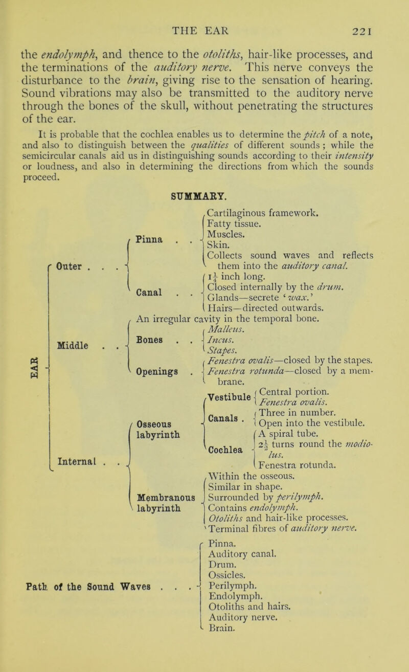 the endolymph, and thence to the otolitfis, hair-like processes, and the terminations of the auditory tierve. This nerve conveys the disturbance to the brain, giving rise to the sensation of hearing. Sound vibrations may also be transmitted to the auditory nerve through the bones of the skull, without penetrating the structures of the ear. It is probable that the cochlea enables us to determine the pitch of a note, and also to distinguish between the qualities of different sounds ; while the semicircular canals aid us in distinguishing sounds according to their intensity or loudness, and also in determining the directions from which the sounds proceed. SUMMARY. r Outer . . Middle . <5 - w ! Internal . . Cartilaginous framework. Fatty tissue. Muscles. Skin. Collects sound waves and reflects them into the auditory canal. inch long. Closed internally by the drum. Glands—secrete '■'ivax.' Hairs—directed outwards. , An irregular cavity in the temporal bone. / Malleus. Bones . . 1 Iticus. 1 Stapes. f Fenestra ovalis—closed by the stapes. ^ Openings . ] Fenestra rotunda—closed by a mem- ' brane. I Pinna Canal / Osseous labyrinth Membranous ^ labyrinth ,Vestibule I portion. / vesuDuie j ^^lis. „ , (Three in number. Cana s . Qp^j^ vestibule. j A spiral tube. 1.1 2i turns round the modio- ' Cochlea ( Fenestra rotunda. .Within the osseous. Similar in shape. Surrounded by perilymph. Contains endolymph. Otoliths and hair-like processes. 'Terminal fibres of auditory neii'e. Path of the Sound Waves ' Pinna. Auditory canal. Drum. Ossicles. . Perilymph. Endolymph. Otoliths and hairs. Auditory nerve. - Brain.