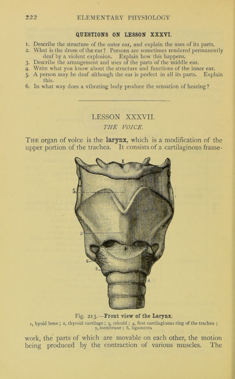 -pk Oj QUESTIONS ON LESSON XXXVI. 1. Describe the structure of the outer ear, and explain the uses of its parts. 2. What is the drum of the ear? Persons are sometimes rendered permanently deaf by a violent explosion. Explain how this happens. . Describe the arrangement and uses of the parts of the middle ear. . Write what you know about the structure and functions of the inner ear. . A person may be deaf although the ear is perfect in all its parts. Explain this. 6. In what way does a vibrating body produce the sensation of hearing ? LESSON XXXVII, THE VOICE. The organ of voice is the larynx, which is a modification of the upper portion of the trachea. It consists of a cartilaginous frame- Fig. 213.—Front view of the Larynx. I, hyoid bone ; 2, thyroid cartilage ; 3, cricoid ; 4, first cartilaginous ring of the trachea ; 5, membrane ; 6, ligaments work, the parts of which are movable on each other, the motion being produced by the contraction of various muscles. The