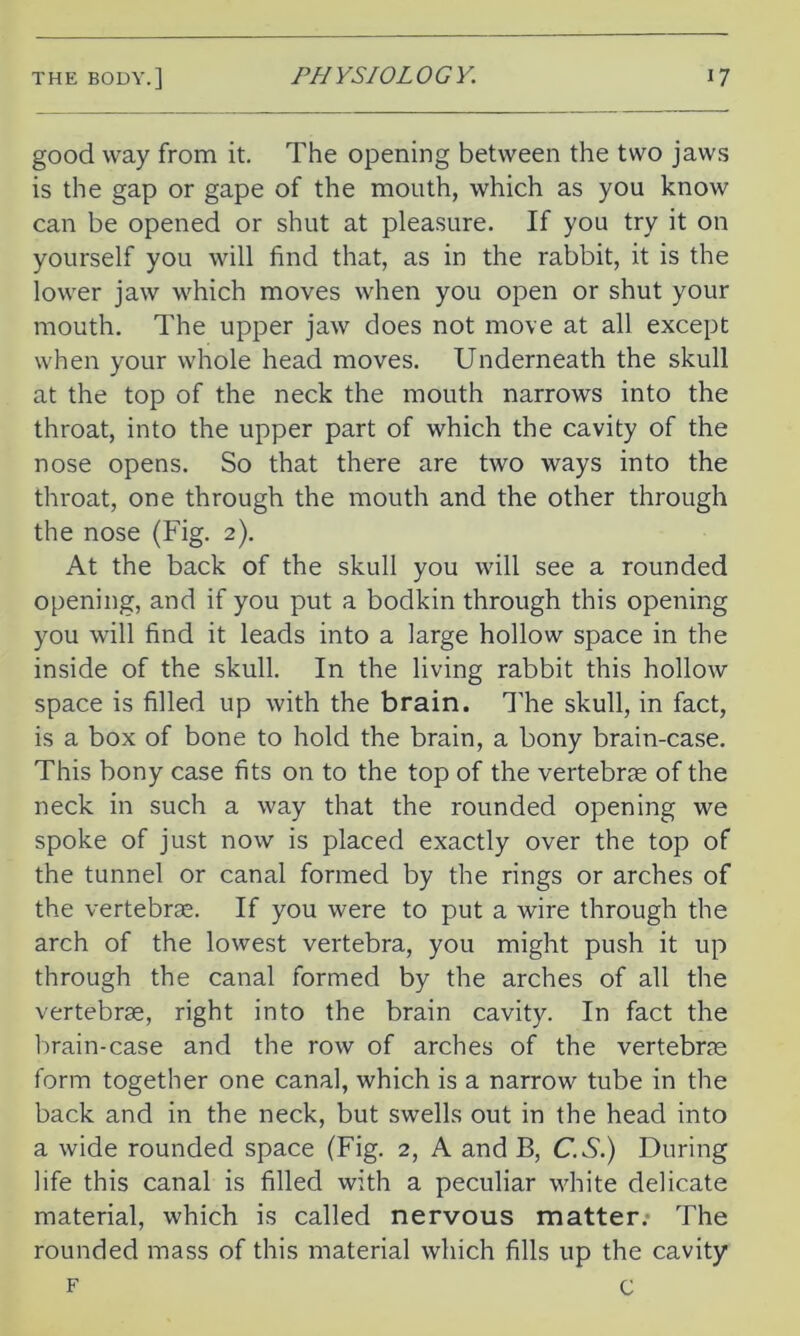 good way from it. The opening between the two jaws is the gap or gape of the mouth, which as you know can be opened or shut at pleasure. If you try it on yourself you will find that, as in the rabbit, it is the lower jaw which moves when you open or shut your mouth. The upper jaw does not move at all except when your whole head moves. Underneath the skull at the top of the neck the mouth narrows into the throat, into the upper part of which the cavity of the nose opens. So that there are two ways into the throat, one through the mouth and the other through the nose (Fig. 2). At the back of the skull you will see a rounded opening, and if you put a bodkin through this opening you will find it leads into a large hollow space in the inside of the skull. In the living rabbit this hollow space is filled up with the brain. The skull, in fact, is a box of bone to hold the brain, a bony brain-case. This bony case fits on to the top of the vertebrae of the neck in such a way that the rounded opening we spoke of just now is placed exactly over the top of the tunnel or canal formed by the rings or arches of the vertebrae. If you were to put a wire through the arch of the lowest vertebra, you might push it up through the canal formed by the arches of all the vertebrae, right into the brain cavity. In fact the brain-case and the row of arches of the vertebrae form together one canal, which is a narrow tube in the back and in the neck, but swells out in the head into a wide rounded space (Fig. 2, A and B, C.S.) During life this canal is filled with a peculiar white delicate material, which is called nervous matter. The rounded mass of this material which fills up the cavity f c