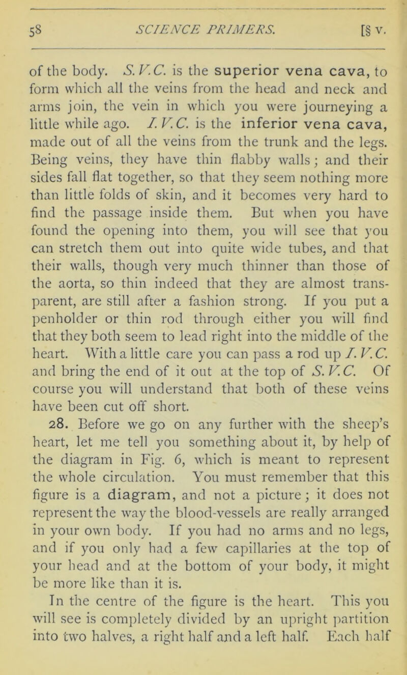 of the body. S. V.C. is the superior vena cava, to form which all the veins from the head and neck and arms join, the vein in which you were journeying a little while ago. I. V.C. is the inferior vena cava, made out of all the veins from the trunk and the legs. Being veins, they have thin flabby walls; and their sides fall flat together, so that they seem nothing more than little folds of skin, and it becomes very hard to find the passage inside them. But when you have found the opening into them, you will see that you can stretch them out into quite wide tubes, and that their walls, though very much thinner than those of the aorta, so thin indeed that they are almost trans- parent, are still after a fashion strong. If you put a penholder or thin rod through either you will find that they both seem to lead right into the middle of the heart. With a little care you can pass a rod up I. V. C. and bring the end of it out at the top of S. V.C. Of course you will understand that both of these veins have been cut off short. 28. Before we go on any further with the sheep’s heart, let me tell you something about it, by help of the diagram in Fig. 6, which is meant to represent the whole circulation. You must remember that this figure is a diagram, and not a picture; it does not represent the way the blood-vessels are really arranged in your own body. If you had no arms and no legs, and if you only had a few capillaries at the top of your head and at the bottom of your body, it might be more like than it is. In the centre of the figure is the heart. This you will see is completely divided by an upright partition into two halves, a right half and a left half. Each half