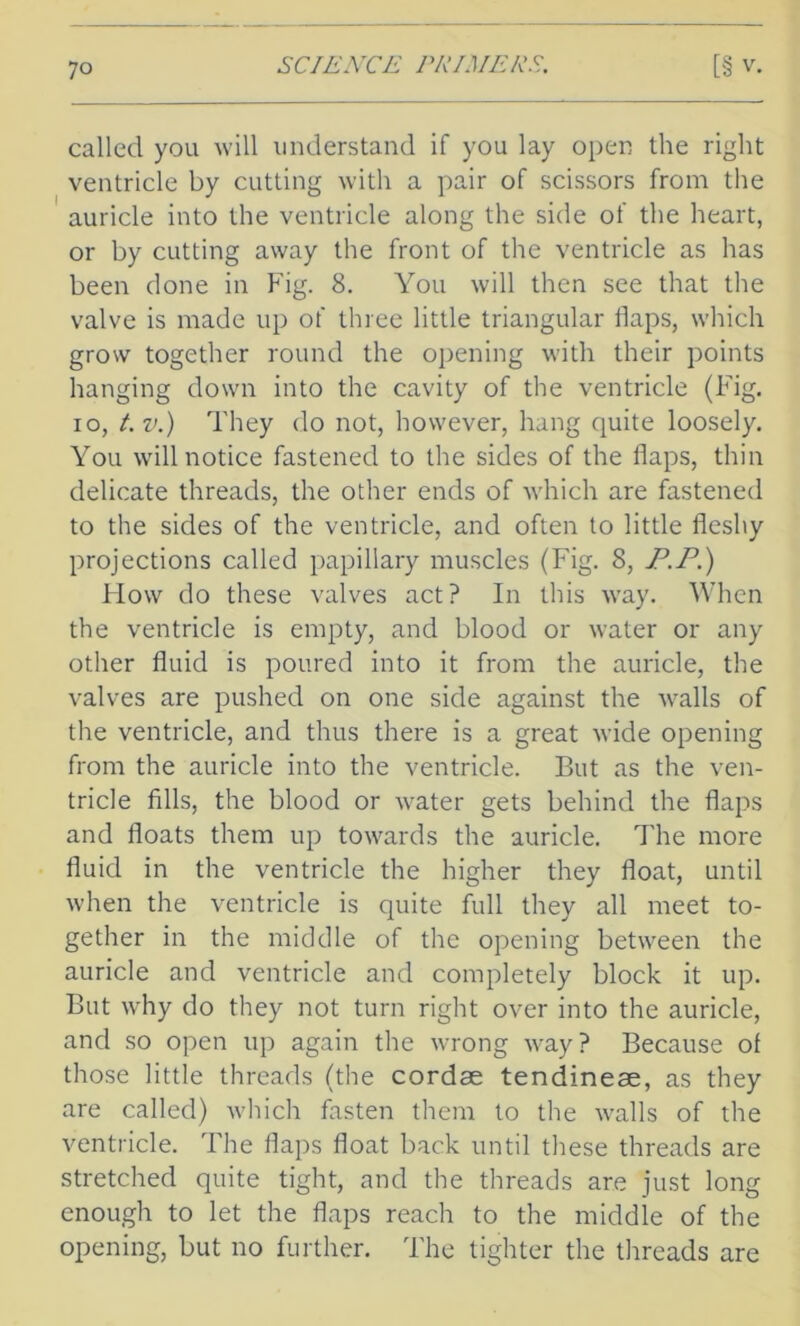 called you will understand if you lay open the right ventricle by cutting with a pair of scissors from the auricle into the ventricle along the side of the heart, or by cutting away the front of the ventricle as has been done in Fig. 8. You will then see that the valve is made up of three little triangular flaps, which grow together round the opening with their points hanging down into the cavity of the ventricle (Fig. io, t. v.) They do not, however, hang quite loosely. You will notice fastened to the sides of the flaps, thin delicate threads, the other ends of which are fastened to the sides of the ventricle, and often to little fleshy projections called papillary muscles (Fig. 8, P.P.) How do these valves act? In this way. When the ventricle is empty, and blood or water or any other fluid is poured into it from the auricle, the valves are pushed on one side against the walls of the ventricle, and thus there is a great wide opening from the auricle into the ventricle. But as the ven- tricle fills, the blood or water gets behind the flaps and floats them up towards the auricle. The more fluid in the ventricle the higher they float, until when the ventricle is quite full they all meet to- gether in the middle of the opening between the auricle and ventricle and completely block it up. But why do they not turn right over into the auricle, and so open up again the wrong way? Because of those little threads (the cordse tendineae, as they are called) which fasten them to the walls of the ventricle. The flaps float back until these threads are stretched quite tight, and the threads are just long enough to let the flaps reach to the middle of the opening, but no further. The tighter the threads are