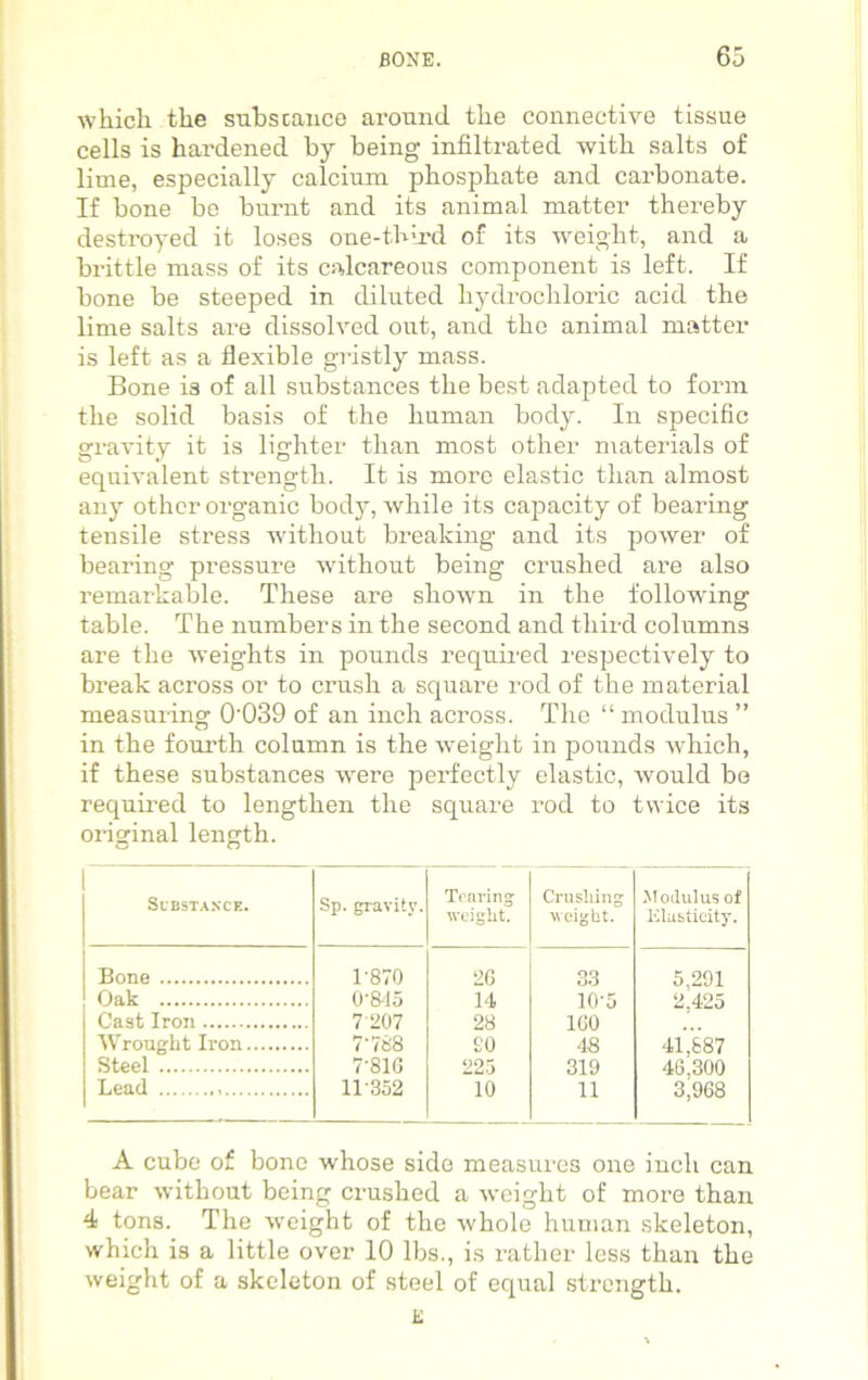 which the substance around the connective tissue cells is hardened by being- infiltrated with salts of lime, especially calcium phosphate and carbonate. If bone be burnt and its animal matter thereby destroyed it loses one-third of its weight, and a brittle mass of its calcareous component is left. If bone be steeped in diluted hydrochloric acid the lime salts are dissolved out, and the animal matter is left as a flexible gristly mass. Bone is of all substances the best adapted to form the solid basis of the human body. In specific gravity it is lighter than most other materials of equivalent strength. It is more elastic than almost any other organic body, while its capacity of bearing tensile stress without breaking and its power of bearing pressure without being crushed are also remarkable. These are shown in the following table. The numbers in the second and third columns are the weights in pounds required respectively to break across or to crush a square rod of the material measuring 0‘039 of an inch across. The “ modulus ” in the fourth column is the weight in pounds which, if these substances were perfectly elastic, would be required to lengthen the square rod to twice its original length, c a Substance. Sp. gravity. Tearing weight. Crushing weight. Modulus of Elasticity. Bone 1-870 2G 33 5,291 Oak 0‘8-15 14 10-5 2,425 Cast Iron 7 207 28 ICO Wrought Iron 7’788 SO 48 41,887 Steel 7'81G 225 319 4G.300 Lead 11-352 10 11 3,968 A cube of bone whose side measures one inch can bear without being crushed a weight of more than 4 tons. The weight of the whole human skeleton, which is a little over 10 lbs., is rather less than the weight of a skeleton of steel of equal strength. K