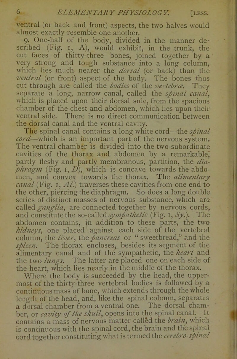 ventral (or back and front) aspects, the two halves would almost exactly resemble one another. 9. One-half of the body, divided in the manner de- scribed (Fig. I, A), would exhibit, in the trunk, the cut faces of thirty-three bones, joined together by a very strong and tough substance into a long column, which lies much nearer the dorsal (or back) than the ventral (or front) aspect of the body. The bones thus cut through are called the bodies of the vertebra. They separate a long, narrow canal, called the spinal canal, which is placed upon their dorsal side, from the spacious chamber of the chest and abdomen, which lies upon their ventral side. There is no direct communication between the dorsal canal and the ventral cavity. The spinal canal contains a long white cord—the spinal cord—which is an important part of the nervous system. The ventral chamber is divided into the two subordinate cavities of the thorax and abdomen by a remarkable) partly fleshy and partly membranous, partition, the dia- phragm (Fig. I, D), w'hich is concave towmds the abdo- men, and convex towards the thorax. The alimentary canal (Fig. i. All) traverses these cavities from one end to the other, piercing the diaphragm. So does a long double series of distinct masses of nervous substance, which arc called ganglia, are connected together by nervous cords, and constitute the so-caWsd sympathetic (Fig. i, Sy.). The abdomen contains, in addition to these parts, the two hidneys, one placed against each side of the vertebral column, the liver, pancreas or “ sw'eetbread,” and the spleen. The thorax encloses, besides its segment of the alimentary canal and of the sympathetic, the heart and the two lungs. The latter are placed one on each side of the heart, which lies nearly in the middle of the thorax. Where the body is succeeded by the head, the upper- most of the thirty-three vertebral bodies is followed by a continuous mass of bone, which extend'^ through thew'hole length of the head, and, like the spinal column, separates a dorsal chamber from a ventral one. The dorsal cham- ber, or cp.vity of the skull, opens into the spinal canal. It contains a mass of nervous matter called the brain, which is continuous with the spinal cord, the brain and the spinal cord together constituting what is termed the crrcbro-spinal