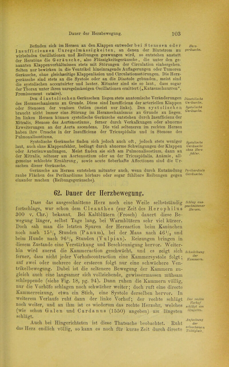 Befinden sich im Herzen an den Klappen entweder bei Stenosen oder I nsuffi cienz en Unregelmässigkeiten, an denen der Blutstrom zu wirbelnden Oscillationen und Beibungen gezwungen wird, so entstehen anstatt der Herztöne die Geräusche, also Flüssigkeitsgeräusche, die unter den ge- nannten Klappenverhältnissen stets mit Störungen der Circulation einhergehen. Selten nur bewirken in die Ventrikel hineinragende Auflagerungen oder Tumoren Geräusche, ohne gleichzeitige Klappenläsion und Circulationsstörungen. Die Herz- geräusche sind stets an die Systole oder an die Diastole gebunden, meist sind die systolischen accentuirter und lauter. Mitunter sind sie so laut, dass sogar der Thorax unter ihren unregelmässigen Oscillationen erzittert („Katzenschnurren“, Fremissement cataire). Den d i as toli sehen Geräuschen liegen stets anatomische Veränderungen des Herzmechanismus zu Grunde. Diese sind Insufficienz der arteriellen Klappen oder Stenosen der venösen Ostien (meist nur links). Den systolischen braucht nicht immer eine Störung im Herzmechanismus zu Grunde zu liegen. Im linken Herzen können systolische Geräusche entstehen dnreh Insufficienz der Mitralis, Stenose des Aortenostiums, ferner durch Verkalkungen oder abnorme Erweiterungen an der Aorta ascendens. Die viel selteneren im rechten Herzen haben ihre Ursache in der Insufficienz der Tricuspidalis und in Stenose des Pulmonalisostiums. Systolische Geräusche finden sich jedoch auch oft, jedoch stets weniger laut, auch ohne Klappenfehler, bedingt durch abnorme Schwingungen der Klappen oder Arterienwandungen. Meist finden sie sich am Pulmonalisostium, dann au der Mitralis, seltener am Aortenostium oder an der Tricuspidalis. Anämie, all- gemeine schlechte Ernährung, sowie acute fieberhafte Affectionen sind die Ur- sachen dieser Geräusche. Geräusche am Herzen entstehen mitunter auch, -wenn durch Entzündung rauhe Flächen des Perikardiums hörbare oder sogar fühlbare Beibungen gegen einander machen (Beibungsgeräusche). 62. Dauer der Herzbewegung. Dass das ausgeschnittene Herz noch eine Weile selbstständig fortschlage, war schon dem Cleanthes (zur Zeit des Herophilus 300 y. Chr.) bekannt. Bei Kaltblütern (Frosch) dauert diese Be- wegung länger, selbst Tage lang, bei Warmblütern sehr viel kürzer. Doch sab man die letzten Spuren der Herzaction beim Kaninchen noch nach 157a Stunden (Panum), bei der Maus nach AöVa und beim Hunde nach 961 /a Stunden (Vulpian). Reizungen bringen in diesem Zustande eine Verstärkung und Beschleunigung hervor. Weiter- hin wird zuerst die Kammeraction geschwächt, und es zeigt sich ferner, dass nicht jeder Vorhofscontraction eine Kammersystole folgt; auf zwei oder mehrere der ersteren folgt nur eine schwächere Ven- trikelbewegung. Dabei ist die seltenere Bewegung der Kammern zu- gleich auch eine langsamer sich vollziehende, gewissermassen mühsam schleppende (siehe Fig. 18, pg. 94). Dann ruhen die Kammern völlig, nur die Vorhöfe schlagen noch schwächer weiter; doch ruft eine directe Kammerreizung, etwa ein Stich, eine Systole derselben hervor. In weiterem Verlaufe ruht dann der linke Vorhof; der rechte schlägt noch weiter, und an ihm ist es wiederum das rechte Herzohr, welches (wie schon Galen und Cardanus (1550) angeben) am längsten schlägt. Auch bei Hingerichteten ist diese Thatsache beobachtet. Ruht das Herz endlich völlig, so kann es noch für kurze Zeit durch directe Herz- geräusche. Diastolische Geräusche. Systolische Geräusche. Systolische Geräusche ohne Herz- fehler. Perikardiale Geräusche. Schlag aus- geschnittener Herzen. Schwächung der Kammern. Der rechte Vorhof schlägt am längsten. Anfachung der erloschene n Thätigkeit.