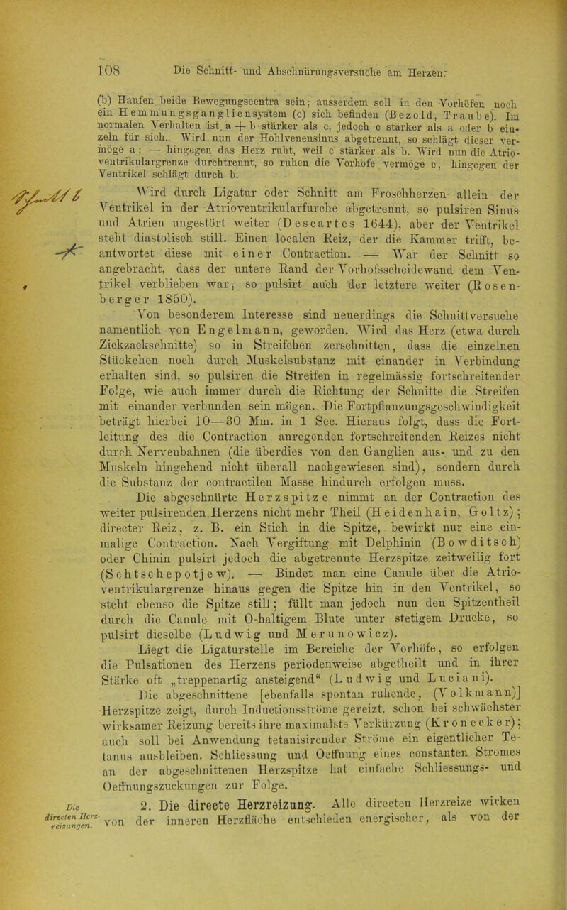 (b) Haufen beide Bewegungscentra sein; ausserdem soll in den Vorhäfen noch ein Hemmungsgangliensystem (c) sich befinden (Bezold, Traube). Im normalen Verhalten ist, a + b • stärker als c, jedoch c stärker als a oder b ein- zeln für sich. Wird nun der Hohlvenensinus abgetrennt, so schlägt dieser ver- möge a ; — hingegen das Herz ruht, weil c stärker als b. Wird nun die Atrio- ventrikulargrenze durchtrennt, so ruhen die Vorhöfe vermöge c, hingegen der Ventrikel sclilägt durch b. Wird durch Ligatur oder Schnitt am Froschherzen allein der Ventrikel in der Atrioventrikularfurche abgetrennt, so pulsiren Sinus und Atrien ungestört weiter (De scart es 1644), aber der Ventrikel steht diastolisch still. Einen localen Reiz, der die Kammer trifft, be- antwortet diese mit einer Contraction. — War der Schnitt so angebracht, dass der untere Rand der Vorhofsscheidewand dem Ven- trikel verblieben war, so pulsirt auch der letztere weiter (Rosen- berger 1850). Von besonderem Interesse sind neuerdings die Schnittversuche namentlich von Engelmann, geworden. Wird das Herz (etwa durch Zickzackschnitte) so in Streifchen zerschnitten, dass die einzelnen Stückchen noch durch Muskelsubstanz mit einander in Verbindung erhalten sind, so pulsiren die Streifen in regelmässig fortschreitender Folge, wie auch immer durch die Richtung der Schnitte die Streifen mit einander verbunden sein mögen. Die Fortpflanzungsgeschwindigkeit beträgt hierbei 10—30 Mm. in 1 Sec. Hieraus folgt, dass die Fort- leitung des die Contraction anregenden fortschreitenden Reizes nicht durch Nervenbahnen (die überdies von den Ganglien aus- und zu den Muskeln hingehend nicht überall nachgewiesen sind), sondern durch die Substanz der contractilen Masse hindurch erfolgen muss. Die abgeschnürte Herzspitze nimmt an der Contraction des weiter pulsirenden Herzens nicht mehr Theil (Heidenhain, Goltz); directer Reiz, z. B. ein Stich in die Spitze, bewirkt nur eine ein- malige Contraction. Nach Vergiftung mit Delphinin (Bowditsch) oder Chinin pulsirt jedoch die abgetrennte Herzspitze zeitweilig fort (Schtschep otj e w). — Bindet man eine Canule über die Atrio- ventrikulargrenze hinaus gegen die Spitze hin in den Ventrikel, so steht ebenso die Spitze still; füllt man jedoch nun den Spitzentheil durch die Canule mit O-haltigem Blute unter stetigem Drucke, so pulsirt dieselbe (L u d w i g und Merunowicz). Liegt die Ligaturstelle im Bereiche der Arorhöfe, so erfolgen die Pulsationen des Herzens periodenweise abgetheilt und in ihrer Stärke oft „treppenartig ansteigend“ (Ludwig und Lucia ni). Die abgeschnittene [ebenfalls spontan ruhende, (Volkmann)] Herzspitze zeigt, durch Inductionsströme gereizt, schon bei schwächster wirksamer Reizung bereits ihre maximalste Verkürzung (Kronecker); auch soll bei Anwendung tetanisirender Ströme ein eigentlicher Te- tanus ausbleiben. Schliessung und Oaffnung eines constanten Stromes der abgeschnittenen Herzspitze hat einfache Scliliessungs- und an Die Oeffnungszuckungen zur Folge. 2. Die directe Herzreiz ang. dil%ZfeT' von der inneren Herzfläche Alle directen Herzreize wivken entschieden energischer, als von der