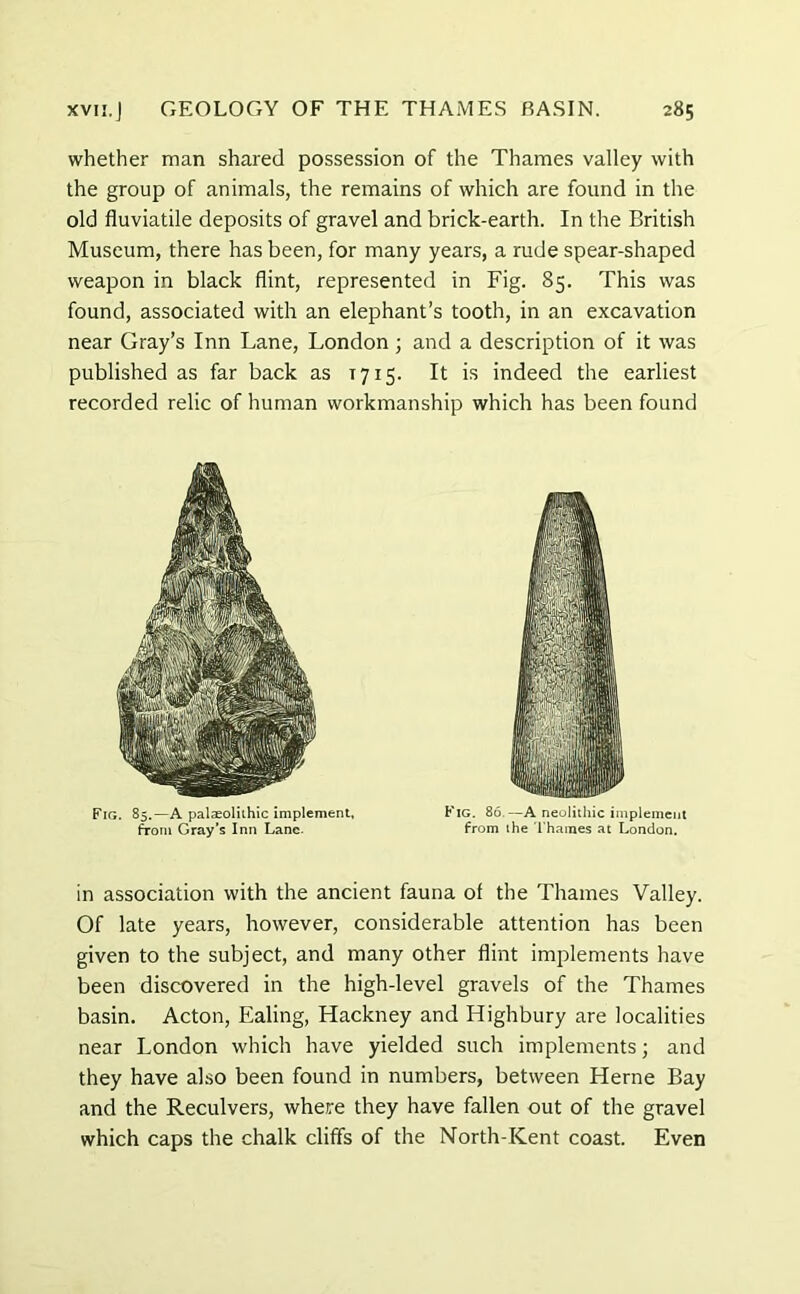 whether man shared possession of the Thames valley with the group of animals, the remains of which are found in the old fluviatile deposits of gravel and brick-earth. In the British Museum, there has been, for many years, a rude spear-shaped weapon in black flint, represented in Fig. 85. This was found, associated with an elephant’s tooth, in an excavation near Gray’s Inn Lane, London ; and a description of it was published as far back as 1715. It is indeed the earliest recorded relic of human workmanship which has been found Fig. 85.—A palaeolithic implement, from Gray’s Inn Lane. Fig. 86.—A neolithic implement from the Thames at London. in association with the ancient fauna of the Thames Valley. Of late years, however, considerable attention has been given to the subject, and many other flint implements have been discovered in the high-level gravels of the Thames basin. Acton, Ealing, Hackney and Highbury are localities near London which have yielded such implements; and they have also been found in numbers, between Herne Bay and the Reculvers, where they have fallen out of the gravel which caps the chalk cliffs of the North-Kent coast. Even