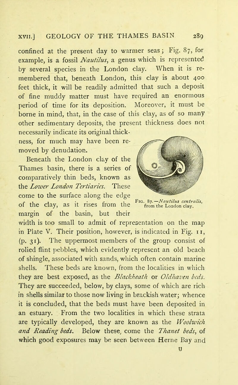 confined at the present day to warmer seas; Fig. 87, for example, is a fossil JVauii/us, a genus which is represented by several species in the London clay. When it is re- membered that, beneath London, this clay is about 400 feet thick, it will be readily admitted that such a deposit of fine muddy matter must have required an enormous period of time for its deposition. Moreover, it must be borne in mind, that, in the case of this clay, as of so many other sedimentary deposits, the present thickness does not necessarily indicate its original thick- ness, for much may have been re- moved by denudation. Beneath the London clay of the Thames basin, there is a series of comparatively thin beds, known as the Lower London Tertiaries. These come to the surface along the edge of the day, as it rises from the fr0m the London day. margin of the basin, but their width is too small to admit of representation on the map in Plate V. Their position, however, is indicated in Fig. 11, (p. 31). The uppermost members of the group consist of rolled flint pebbles, which evidently represent an old beach of shingle, associated with sands, which often contain marine shells. These beds are known, from the localities in which they are best exposed, as the Blackheath or Oldhaven beds. They are succeeded, below, by clays, some of which are rich in shells similar to those now living in brackish water; whence it is concluded, that the beds must have been deposited in an estuary. From the two localities in which these strata are typically developed, they are known as the Woolwich and Reading beds. Below these, come the Thanet beds, of which good exposures may be seen between Herne Bay and