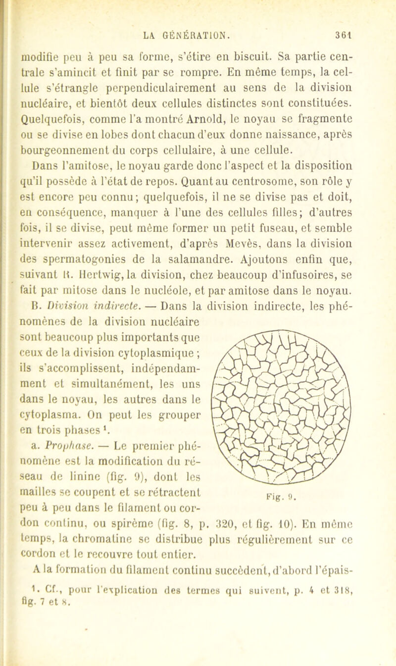 modifie peu à peu sa l'orme, s’étire en biscuit. Sa partie cen- trale s’amincit et finit par se rompre. En même temps, la cel- lule s’étrangle perpendiculairement au sens de la division nucléaire, et bientôt deux cellules distinctes sont constituées. Quelquefois, comme l’a montré Arnold, le noyau se fragmente ou se divise en lobes dont chacun d’eux donne naissance, après bourgeonnement du corps cellulaire, à une cellule. Dans l’amitose, le noyau garde donc l’aspect et la disposition qu’il possède à l’état de repos. Quant au centrosome, son rôle y est encore peu connu ; quelquefois, il ne se divise pas et doit, en conséquence, manquer à l’une des cellules filles; d’autres fois, il se divise, peut même former un petit fuseau, et semble intervenir assez activement, d’après Mevès, dans la division des spermatogonies de la salamandre. Ajoutons enfin que, suivant fi. Hertwig, la division, chez beaucoup d’infusoires, se fait par mitose dans le nucléole, etparamitose dans le noyau. B. Division indirecte. — Dans la division indirecte, les phé- nomènes de la division nucléaire sont beaucoup plus importants que ceux de la division cytoplasmique ; ils s’accomplissent, indépendam- ment et simultanément, les uns dans le noyau, les autres dans le cytoplasma. On peut les grouper en trois phases ’. a. Prophase. — Le premier phé- nomène est la modification du ré- seau de linine (fig. 9), dont les mailles se coupent et se rétractent peu à peu dans le filament ou cor- don continu, ou spirème (fig. 8, p. 320, et fig. 10). En même temps, la chromatine se distribue plus régulièrement sur ce cordon et le recouvre tout entier. A la formation du filament continu succèdent, d’abord l’épais- 1. Cf., pour l’explication des termes qui suivent, p. 4 et 318, ûg. 7 et 8.