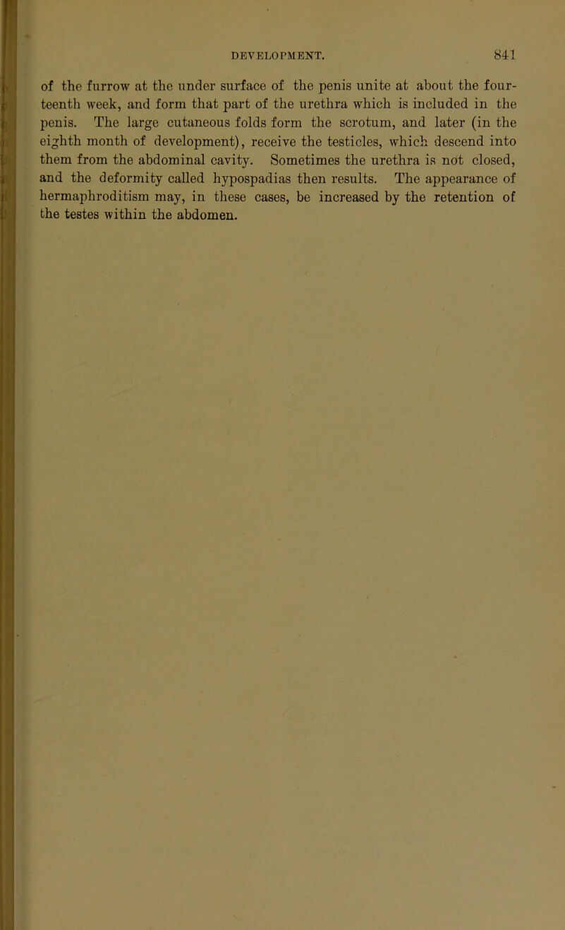 of the furrow at the under surface of the penis unite at about the four- teenth week, and form that part of the urethra which is included in the penis. The large cutaneous folds form the scrotum, and later (in the eighth month of development), receive the testicles, which descend into them from the abdominal cavity. Sometimes the urethra is not closed, and the deformity called hypospadias then results. The appearance of hermaphroditism may, in these cases, be increased by the retention of the testes within the abdomen.