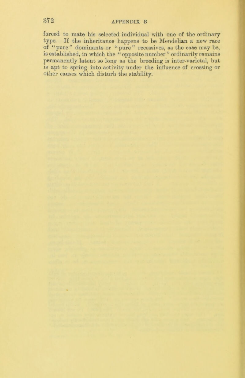 forced to mate his selected individual with one of the ordinary- type. If the inheritance happens to be Mendelian a new race of “ pure ” dominants or “ pure ” recessives, as the case may be, is established, in which the “ opposite number ” ordinarily remains permanently latent so long as the breeding is inter-varietal, but is apt to spring into activity under the influence of crossing or other causes which disturb the stability.