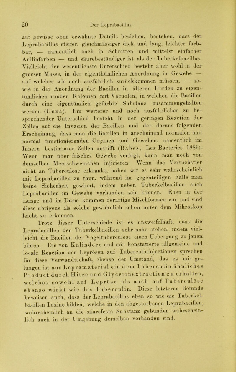 auf gewisse oben erwähnte Details beziehen, bestehen, dass der Leprabacillus steifer, gleichmässiger dick und lang, leichter färb- bar, — namentlich auch in Schnitten und mittelst einfacher Anilinfarben — und säurebeständiger ist als der Tuberkelbacillus.. Vielleicht der wesentlichste Unterschied besteht aber wohl in der grossen Masse, in der eigentliümliclien Anordnung im Gewebe — auf welches wir noch ausführlich zurückkommen müssen, — so- wie in der Anordnung der Bacillen in älteren Herden zu eigen- tümlichen runden Kolonien mit Vacuolen, in welchen die Bacillen durch eine eigentümlich gefärbte Substanz zusammengehalten werden (Unna). Ein weiterer und noch ausführlicher zu be- sprechender Unterschied besteht in der geringen Reaction der Zellen auf die Invasion der Bacillen und der daraus folgenden Erscheinung, dass man die Bacillen in anscheinend normalen und normal functionierenden Organen und Geweben, namentlich im Innern bestimmter Zellen antrifft (Babes, Les Bacteries 1886).. Wenn man über frisches Gewebe verfügt, kann man noch von demselben Meerschweinchen injicieren. Wenn das Versuchstier nicht an Tuberculose erkrankt, haben wir es sehr wahrscheinlich mit Leprabacillen zu thun, während im gegenteiligen Falle man keine Sicherheit gewinnt, indem neben Tuberkelbacillen auch Leprabacillen im Gewebe vorhanden sein können. Eben in der Lunge und im Darm kommen derartige Mischformen vor und sind diese übrigens als solche gewöhnlich schon unter dem Mikroskop leicht zu erkennen. Trotz dieser Unterschiede ist es unzweifelhaft, dass die Leprabacillen den Tuberkelbacillen sehr nahe stehen, indem viel- leicht die Bacillen der Vogeltuberculose einen Uebergang zu jenen bilden. Die von Kalindero und mir konstatierte allgemeine und locale Reaction der Leprösen auf Tuberculininjectionen sprechen für diese Verwandtschaft, ebenso der Umstand, das es mir ge- lungen ist ausLepramatei ial ein dem Tuberculin ähnliches Product durch Hitze und Glycerinextraction zu erhalten, welches so wo h 1 auf Lepröse als auch auf Tuberculose ebenso wirkt Avie das Tuberculin. Diese letzteren Befunde beweisen auch, dass der Leprabacillus eben so wie die Tuberkel- bacillen Toxine bilden, welche in den abgestorbenen Leprabacillen,, wahrscheinlich an die säurefeste Substanz gebunden wahrschein- lich auch in der Umgebung derselben vorhanden sind.