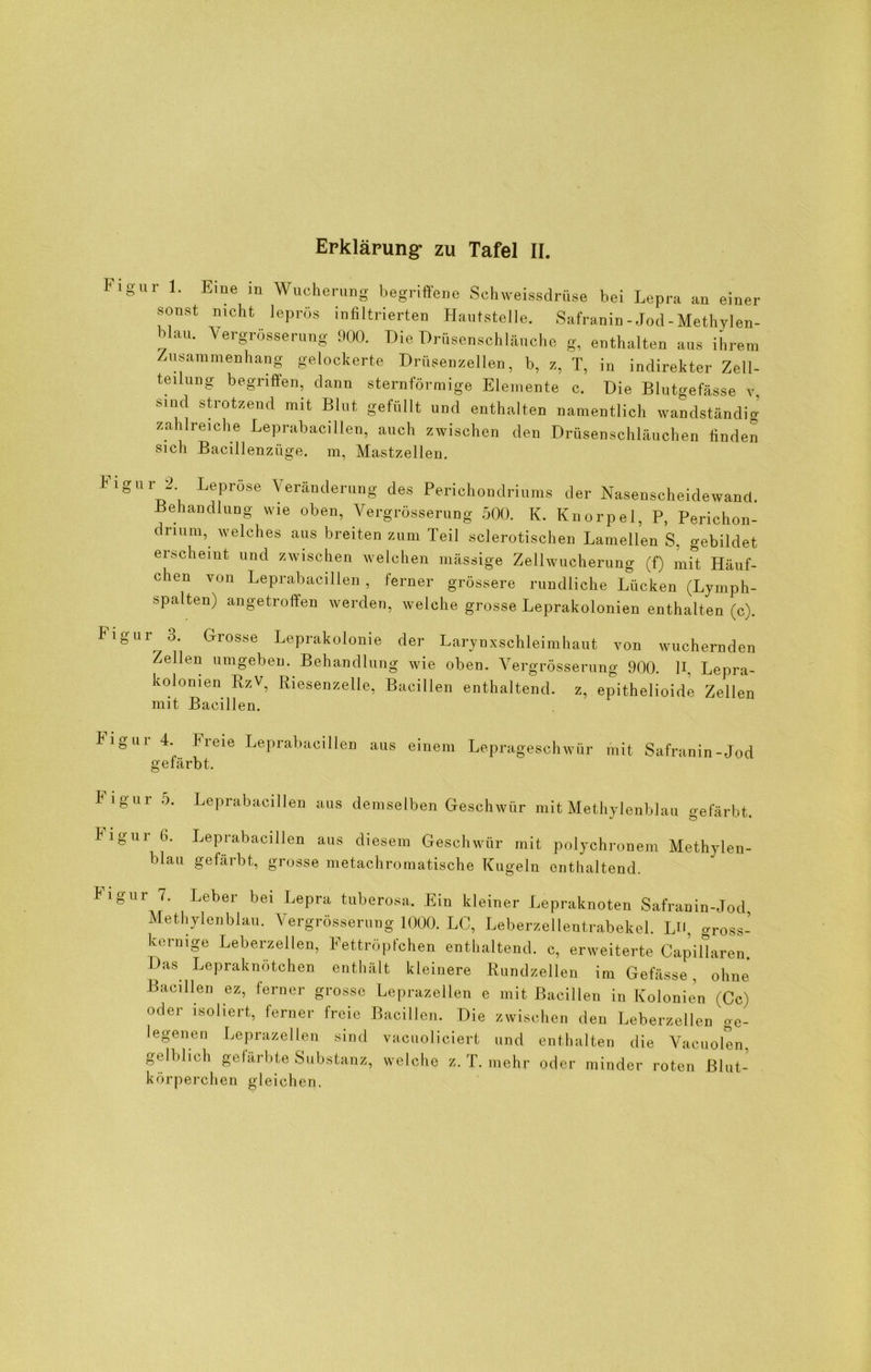 Figur 1. Eine in Wucherung begriffene Schweissdrüse bei Lepra an einer sonst nicht leprös infiltrierten Hautstelle. Safranin-Jod - Methylen- blau. Vergrößerung 900. Die Drüsenschlauche g, enthalten aus ihrem Zusammenhang gelockerte Drüsenzellen, b, z, T, in indirekter Zell- teilung begriffen, dann sternförmige Elemente c. Die Blutgefässe v. sind strotzend mit Blut gefüllt und enthalten namentlich wandständig zahlreiche Leprabacillen, auch zwischen den Drüsenschläuchen finden sich Bacillenzüge, m, Mastzellen. Figur 2 Figur Leprose Veränderung des Perichoudriums der Nasenscheidewand Behandlung wie oben, Vergrösserung 500. K. Knorpel, P, Perichon- drium, welches aus breiten zum Teil sclerotischen Lamellen S, gebildet erscheint und zwischen welchen mässige Zellwucherung (f) mit Häuf- chen von Leprabacillen, ferner grössere rundliche Lücken (Lymph- spalten) angetroffen werden, welche grosse Leprakolonien enthalten (c). r o. Grosse Leprakolonie der Larynxschleimhaut von wuchernden Zellen umgeben. Behandlung wie oben. Vergrösserung 900. R, Lepra- kolomen RzV, Riesenzelle, Bacillen enthaltend, z, epithelioide Zellen mit Bacillen. k i g u r 4. Freie Leprabacillen aus einem Leprageschwür mit Safranin-Jod gefärbt. Figur 5. Leprabacillen aus demselben Geschwür mit Methylenblau gefärbt. kigur 6. Leprabacillen aus diesem Geschwür mit polychronem Methylen- blau gefärbt, grosse metachromatische Kugeln enthaltend. kigur 7. Leber bei Lepra tuberosa. Ein kleiner Lepraknoten Safranin-Jod Methylenblau. Vergrösserung 1000. LC, Leberzellentrabekel. LH, gross- kernige Leberzellen, Fettröpfchen enthaltend, c, erweiterte Capillaren. Das Lepraknötchen enthält kleinere Rundzellen im Gefässe , ohne Bacillen ez, ferner grosse Leprazellen e mit Bacillen in Kolonien (Cc) oder isoliert, ferner freie Bacillen. Die zwischen den Leberzellen ge- legenen Leprazellen sind vacuoliciert und enthalten die Vacuolen, gelblich gefärbte Substanz, welche z. T. mehr oder minder roten Blut- körperchen gleichen.