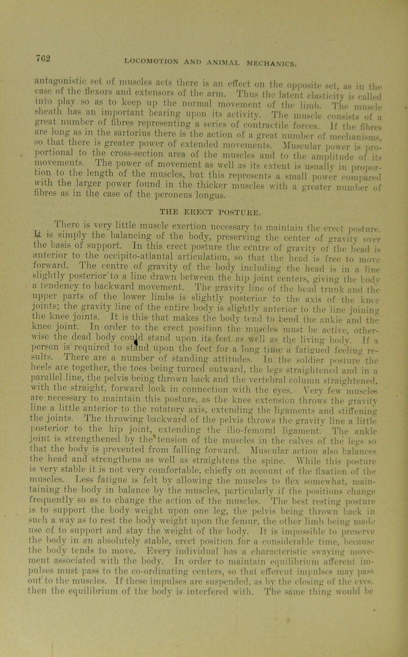 7G2 LOCOMOTION ANI) ANIMAL MECHANICS. antagonistic set of muscles acts there is an effect on the opposite set as in the case of the flexors and extensors of the arm. Thus the latent elasticity is called nun pkiy so as to keep up the normal movement of the limb. The muscle sheath has an important bearing upon its activity. The muscle consists of a great number ot fibres representing a series of contractile forces. If the fibres are long-as in the sartorius there is the action of a great number of mechanisms so that there is greater power of extended movements. Muscular power is pro- portional to the cross-section area of the muscles and to the amplitude of it- movements. The power of movement as well as its extent is usuallv in propor- tmn to the length of the muscles, but this represents a small power compared with the larger power found in the thicker muscles with a greater number of fibres as m the case of the peroneus longus. THE ERECT POSTUKE. There is very little muscle exertion necessary to maintain the erect posture, kt is simply the balancing of the body, preserving the center of gravitv over the basis of support. In this erect posture the centre of gravity of the head i- anterior to the oceipito-atlantal articulation, so that the head ‘is free to move forward. The centre of gravity of the body including the head is in a line slightly posteriorto a line drawn between the hip joint centers, giving the bodv a tendency to backward movement. The gravity line of the head trunk and the upper parts of the lower limbs is slightly posterior to the axis of the knee joints; the gravity line of the entire body is slightly anterior to the line joining the knee joints. It is this that makes the body tend to bend the ankie and the knee joint. In order to the erect position the muscles must be active, other- wise the dead body could stand upon its feet as well as the living body. If -i person is lecjuiied to stand upon the feet for a long time a fatigued feeling re- sults. There are a number of standing attitudes. In the soldier posture the heels are together, the toes being turned outward, the legs straightened and in a paiallel line, the pelt is being thrown back and the vertebral column straightened, with the straight, forward look in connection with the eyes. Very few'musclos are necessary to maintain this posture, as the knee extension throws the gravity line a little antenor to the rotatory axis, extending the ligaments and stiffening the joints. The throwing backward of the pelvis throws the gravity line, a little posterior to the hip joint, extending the ilio-femoral ligament.’ The ankle joint is strengthened by the'tension of the muscles in the calves of the legs so that the body is prevented from falling forward. Muscular action also balances the head and strengthens as well as straightens the spine. While this posture is very stable it is not very comfortable, chiefly on account of the fixation of the muscles. Less fatigue is felt by allowing the muscles to flex somewhat, main- taining the body in balance by the muscles, particularly if the positions change frequently so as to change the action of the muscles. The best resting posture is to support the body weight upon one leg, the pelvis being thrown back in such a way as to rest the body weight upon the femur, the other limb being made use of to support and stay the weight of the body. It is impossible to preserve the body in an absolutely stable, erect position for a .considerable time, because the body tends to move. Every individual has a characteristic swaying move- ment, associated with the body. In order to maintain equilibrium afferent im- pulses must pass to the co-ordinating centers, so that efferent impulses may pass out to the muscles. If these impulses are suspended, as by the closing of the eyes, then the equilibrium of the body is interfered with. The same thing would be