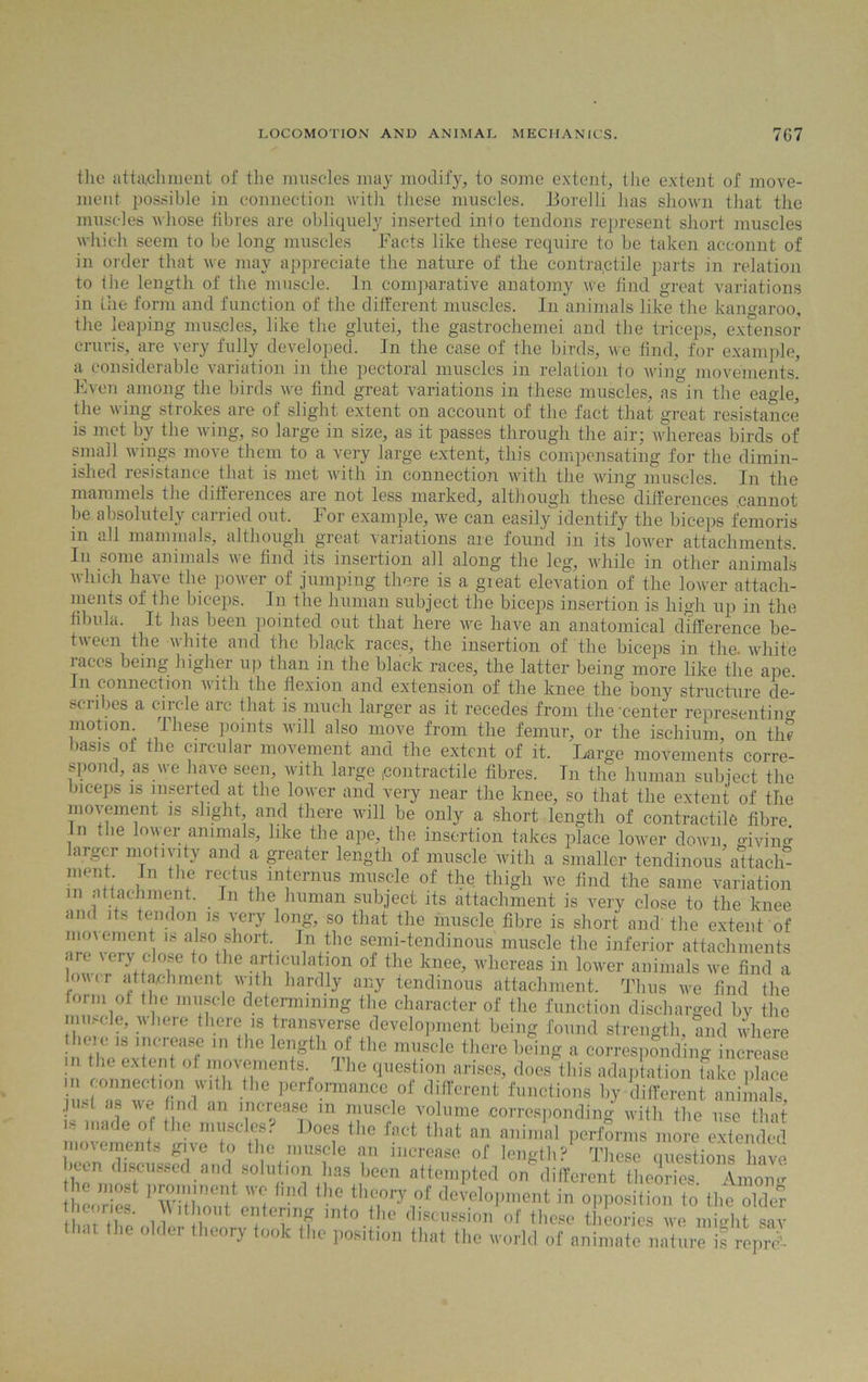 the attachment of the muscles may modify, to some extent, the extent of move- ment possible in connection with these muscles. Borelli has shown that the muscles whose fibres are obliquely inserted info tendons represent short muscles which seem to be long muscles Facts like these require to be taken aceonnt of in order that we may appreciate the nature of the contractile parts in relation to file length of the muscle. In comparative anatomy we find great variations in file form and function of the different muscles. In animals like the kangaroo, the leaping muscles, like the glutei, the gastrochemei and the triceps, extensor cruris, are very fully developed. In the case of the birds, we find, for example, a considerable variation in the pectoral muscles in relation to wing movements. Even among the birds we find great variations in these muscles, as in the eao-le, the wing strokes are of slight extent on account of the fact that great resistance is met by the wing, so large in size, as it passes through the air; whereas birds of small wings move them to a very large extent, this compensating for the dimin- ished resistance that is met with in connection with the wing muscles. In the mammels the differences are not less marked, although these differences .cannot be absolutely carried out. For example, we can easily identify the biceps femoris in all mammals, although great variations are found in its lower attachments. In some animals we find its insertion all along the leg, while in other animals which have the power of jumping there is a gieat elevation of the lower attach- ments of the biceps. In the human subject the biceps insertion is high up in the fibula. It has been pointed out that here we have an anatomical difference be- tween the white and the black races, the insertion of the biceps in the white races being higher up than in the black races, the latter being more like the ape. In connection with the flexion and extension of the knee the bony structure de- scribes a circle arc that is much larger as it recedes from the'center representing motion These points will also move from the femur, or the ischium, on the basis of the circular movement and the extent of it. Large movements corre- spond, as we have seen, with large contractile fibres. In the human subject the biceps is inserted at the lower and very near the knee, so that the extent of the movement is slight and there will be only a short length of contractile fibre , Jie lfnver annuals, like the ape, the insertion takes place lower down, living krgcr motiyity and a greater length of muscle with a smaller tendinous attach ment In the rectus interims muscle of the thigh we find the same variation in attachment. In the human subject its attachment is very close to the knee and its tendon is very long, so that the muscle fibre is short and the extent of movement is also short. In the semi-tendinous muscle the inferior attachments are very close lo the articulation of the knee, whereas in lower animals we find a lovvir attachment with hardly any tendinous attachment. Thus we find the form of the muscle determining the character of the function discharged bv the muscle, where there is transverse development being found strength, and where there is increase in the length of the muscle there being a corresponding increase m. the extent of movements The question arises, does this adaptation take place connection with the performance of different functions by different animals, .pist as we find an increase in muscle volume corresponding with the use that is made of the muscles? Does the fact that an animal performs more extended movements give to the muscle an increase of length? These questions have iien discussed and solution lias lieon attempted on different theories Among he most prominent we tail the theory of development in opposition to the oldef theories. Without entering into the discussion of these theories we might sav that the older theory took the position that the world of animaterntuiiSfrejS