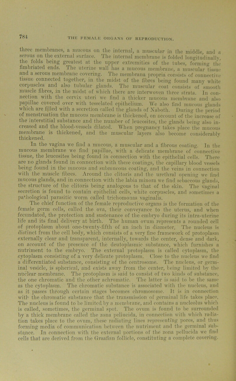 three membranes, a mucous on the internal, a muscular in the middle, and a serous on the external surface. The internal membrane is folded longitudinally, the folds being greatest at the upper extremities of the tubes, forming the fi mini a ted ends. J he uterine wall has a mucous membrane, a muscular tis-ue and a serous membrane covering. The membrana propria consists of connective tissue connected together, in the midst of the fibres being found many white corpuscles and also tubular glands. The muscular coat consists of smooth muscle fibres, in the midst of which there are interwoven three strata. In con- nection with the cervix uteri we find a thicker mucous memlrrane and also papillae covered over with tesselated epithelium. We also find mucous glands which are filled with a secretion called the glands of Xaboth. During the period of menstruation the mucous membrane is thickened, on account of the increase of the interstitial substance and the number of leucosites, the glands being also in- creased and the blood-vessels dilated. When pregnancy takes place the mucous membrane is thickened, and the muscular layers also become considerably thickened. In the vagina we find a mucous, a muscular and a fibrous coating. In the mucous membrane tve find papillae, with a delicate membrane of connective tissue, the leucosites being found in connection with the epithelial cells. There are no glands found in connection with these coatings, the capillary blood vessels being found in the mucous and submucous coating, and the veins in connection with the muscle fibres. Around the clitoris and the urethral opening we find mucous glands, and in connection with the labia minora we find sebaceous glands, the structure of the clitoris being analogous to that of the skin. The vaginal secretion is found to contain epithelial cells, white corpuscles, and sometimes a pathological parasitic worm called trichomonas vaginalis. The chief function of the female reproductive organs is the formation of the female germ cells, called the ova, their conveyance to the uterus, and when fecundated, the protection and sustenance of the embryo during its intra-uterine life and its final delivery at birth. The human ovum represents a rounded cell of protoplasm about one-twenty-fifth of an inch in diameter. The nucleus is distinct from the cell body, which consists of a very fine framework of protoplasm externally clear and transparent, internally, towards the center, dense and dark, on account of the presence of the deutoplasmic substance, which furnishes a nutriment to the embryo. The external protoplasm is called cytoplasm, the .cytoplasm consisting of a very delicate protoplasm. Close to the nucleus we find a differentiated substance, consisting of the eentrosome. The nucleus, or germ- inal vesicle, is spherical, and exists away from the center, being limited by the nuclear membrane. The protoplasm is said to consist of two kinds of substance, the one chromatic and the other achromatic. The latter is said to be the same as the cytoplasm. The chromatic substance is associated with the nucleus, and as it passes through certain stages becomes chromosome. It is in connection with the chromatic substance that the transmission of germinal life takes place. The nucleus is found to be limited by a membrane, and contains a nucleolus which is called, sometimes, the germinal spot. The ovum is found to be surrounded by a thick membrane called the zona pellucida. in connection with which radia- tion takes place to the ovum, these radiating lines representing pores, and thus forming media of communication between the nutriment and the germinal Sub- stance. In connection with the external portions of the zona pellucida we find cells that are derived from the Graafian follicle, constituting a complete covering.