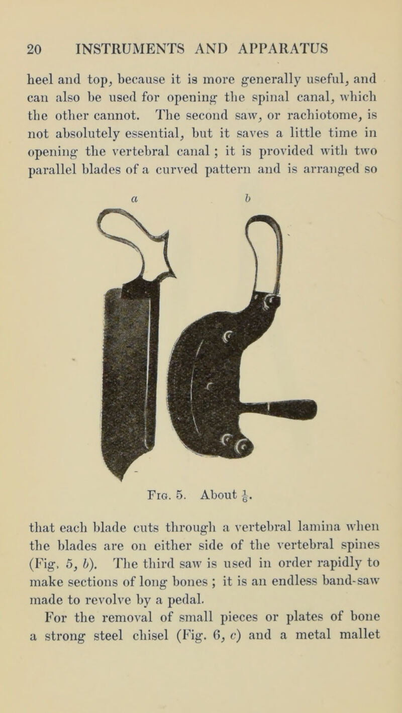 heel and top, because it is more generally useful, and can also be used for opening the spinal canal, which the other cannot. The second saw, or rachiotonie, is not absolutely essential, but it saves a little time in opening the vertebral canal ; it is provided with two parallel blades of a curved pattern and is arranged so a h Fro. 5. About i. that each blade cuts tlirougli a vertebral lamina when the blades are on either side of the vertebral spines (Fig. 5, h). The third saw is used in order rapidly to make sections of long bones ; it is an endless band-saw' made to revolve by a pedal. For the removal of small pieces or plates of bone a strong steel chisel (Fig. 6, c) and a metal mallet