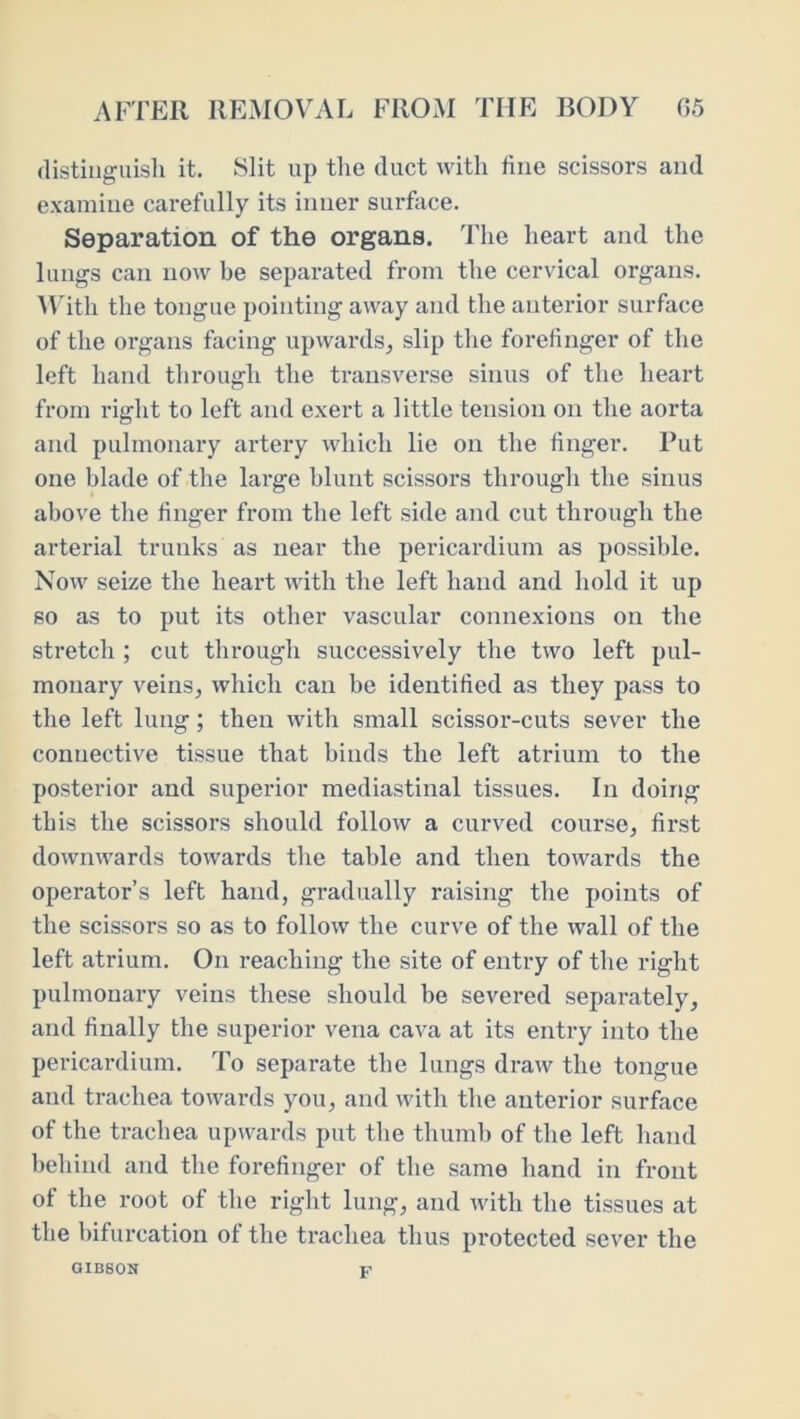 (listiiigiiisli it. Slit up the duct with fine scissors and examiue carefully its inner surface. Separation of the organs. The heart and the lungs can now be separated from the cervical organs. A\hth the tongue pointing away and the anterior surface of the organs facing upwards^ slip the forefinger of the left hand through the transverse sinus of the heart from right to left and exert a little tension on the aorta and pulmonary ax-tery xvliich lie on the finger. Put one blade of the lai'ge blunt scissors through the sinus above the finger from the left side and cut through the ai’terial trunks as near the pericardium as possible. Now seize the heart with the left hand and hold it up so as to put its other vascular connexions on the sti’etch ; cut through successively the two left pul- monary veins, which can be identified as they pass to the left lung; then with small scissoi’-cuts sever the connective tissue that binds the left atrium to the posterior and supeifior mediastinal tissues. In doing this the scissox's should follow a curved course, first downwards towards the table and thexx towards the operator’s left haxxd, gradually raisiixg the poiixts of the scissors so as to follow the curve of the wall of the left atrium. Oxx reachixxg the site of exxtry of the right pulmonaxy veins these should he severed separately, and finally the superior vexxa cava at its entry ixxto the pericax-dium. To separate the lungs dx*aw the toxxgue aixd trachea towards you, and with the anterior surface of the trachea upwards put the thunxh of the left haxxd hchiixd aixd the forefixxger of the same hand in front of the root of the right luxxg, axxd with the tissixes at the bifurcation of the trachea thus protected sever the GIBSON F