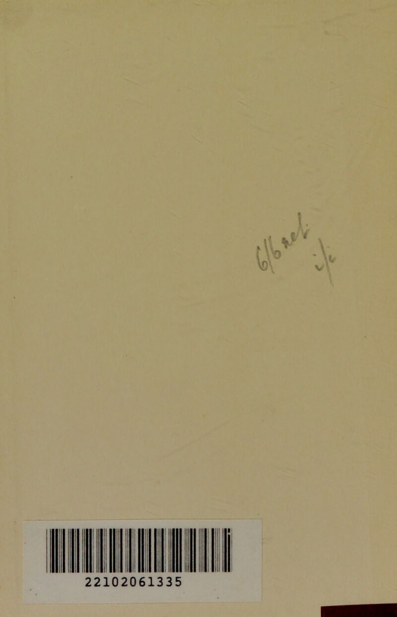 22102061335