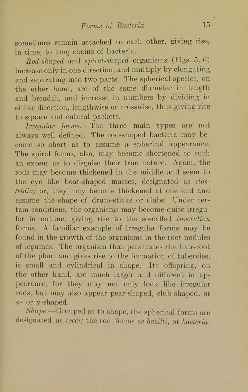 Forvis of Bacteria sometimes remain attached to each other, giving rise, in time, to long chains of bacteria. Rod-shaped and spiral-shaped organisms (Figs. 5, 6) increase only in one direction, and multiply by elongating and separating into two parts. The spherical species, on the other hand, are of the same diameter in length and breadth, and increase in numbers by dividing in either direction, lengthwise or crosswise, thus giving rise to square and cubical packets. Irregidar forms.—The three main types are not always well defined. The rod-shaped bacteria may be- come so short as to assume a spherical appearance. The spiral forms, also, may become shortened to such an extent as to disguise their true nature. Again, the rods may become thickened in the middle and seem to the eye like boat-shaped masses, designated as Clos- tridia; or, they may become thickened at one end and a.ssume the shape of drum-sticks or clubs. Under cer- tain conditions, the organisms may become quite irregu- lar in outline, giving rise to the so-called invohdion forms. A familiar example of irregular forms may be found in the growth of the organisms in the root nodules of legumes. The organism that penetrates the hair-root of the plant and gives rise to the formation of tubercles, is small and cylindrical in shape. Its offspring, on the other hand, are much larger and different in ap- pearance, for they may not only look like irregular rods, but may also appear pear-shaped, club-shaped, or X- or y-shaped. Shape.—Grouped as to shape, the spherical forms are designated as cocci; the rod forms as bacilli, or bacteria.