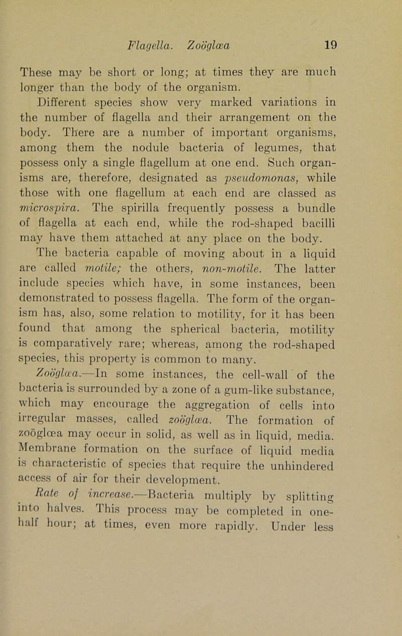 These may be short or long; at times they are much longer than the body of the organism. Different species show very marked variations in the number of flagella and their arrangement on the body. There are a number of important organisms, among them the nodule bacteria of legumes, that possess only a single flagellum at one end. Such organ- isms are, therefore, designated as 'pseudomonas, while those with one flagellum at each end are classed as microspira. The spirilla frequently possess a bundle of flagella at each end, while the rod-shaped bacilli may have them attached at any place on the body. The bacteria capable of moving about in a liquid are called motile; the others, non-motile. The latter include species which have, in some instances, been demonstrated to possess flagella. The form of the organ- ism has, also, some relation to motility, for it has been found that among the spherical bacteria, motility is comparatively rare; whereas, among the rod-shaped species, this property is common to many. Zodglaa.—In some instances, the cell-wall of the bacteria is surrounded by a zone of a gum-like substance, which may encourage the aggregation of cells into irregular masses, called zooglcea. The formation of zooglcea may occur in solid, as well as in liquid, media. Membrane formation on the surface of liquid media is characteristic of species that require the unhindered access of air for their development. Rate of increase.—Bacteria multiply by splitting into halves. This process may be completed in one- half hour; at times, even more rapidly. Under less