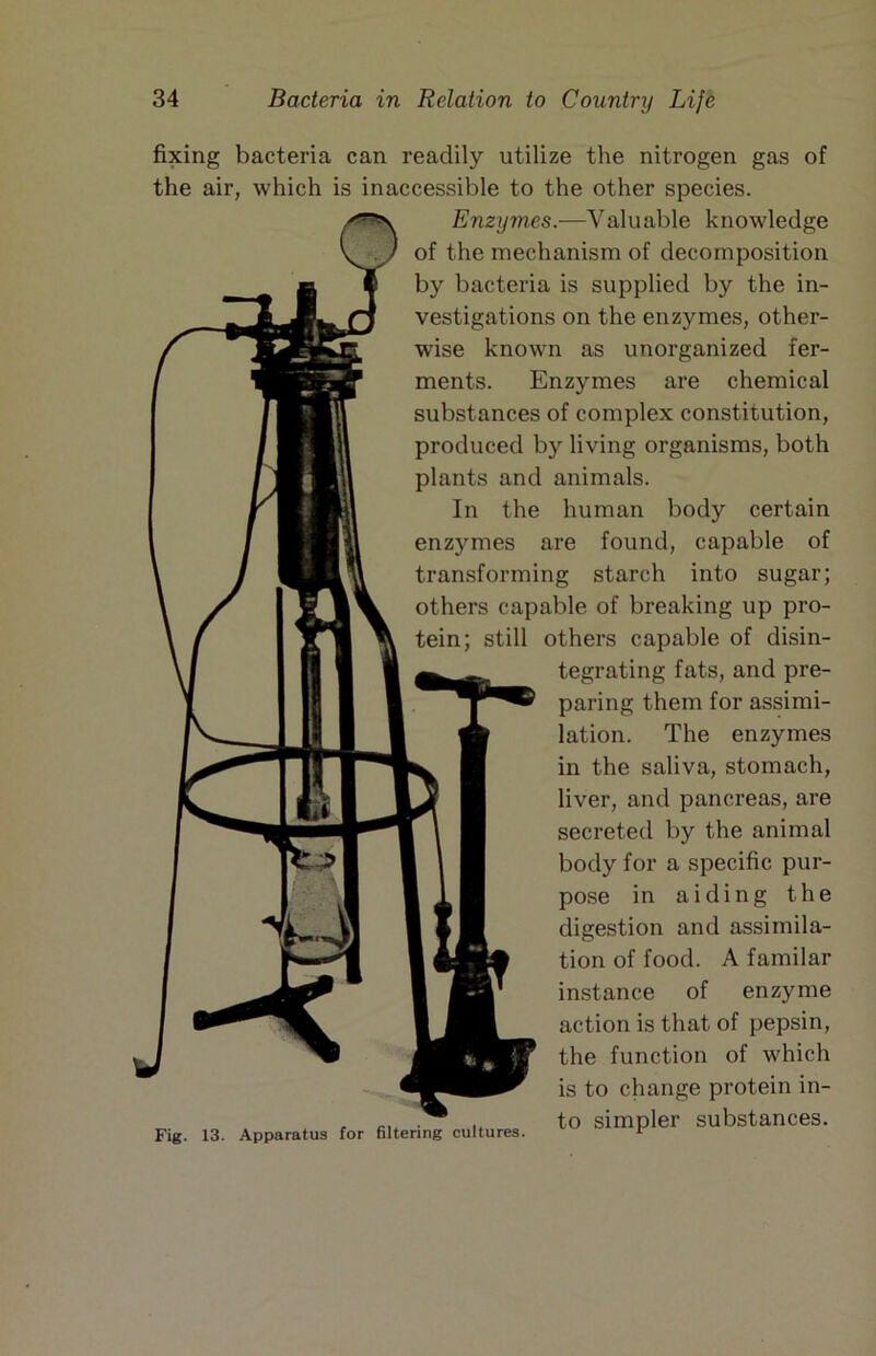 fixing bacteria can readily utilize the nitrogen gas of the air, which is inaccessible to the other species. Enzymes.—Valuable knowledge of the mechanism of decomposition by bacteria is supplied by the in- vestigations on the enzymes, other- wise known as unorganized fer- ments. Enzymes are chemical substances of complex constitution, produced by living organisms, both plants and animals. In the human body certain enzymes are found, capable of transforming starch into sugar; others capable of breaking up pro- tein; still others capable of disin- tegrating fats, and pre- paring them for assimi- lation. The enzymes in the saliva, stomach, liver, and pancreas, are secreted by the animal body for a specific pur- pose in aiding the digestion and assimila- tion of food. A familar instance of enzyme action is that of pepsin, the function of which is to change protein in- , to simpler substances. Fig. 13. Apparatus for filtering cultures.