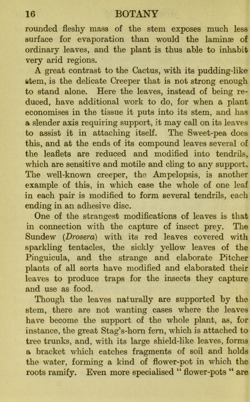 rounded fleshy mass of the stem exposes much less surface for evaporation than would the laminae of ordinary leaves, and the plant is thus able to inliabit very arid regions. A great contrast to the Cactus, with its pudding-like stem, is the delicate Creeper that is not strong enough to stand alone. Here the leaves, instead of being re- duced, have additional work to do, for when a plant economises in the tissue it puts into its stem, and has a slender axis requiring support, it may call on its leaves to assist it in attaching itself. Tlie Sweet-pea does this, and at the ends of its compound leaves several of the leaflets are reduced and modified into tendrils, which are sensitive and motile and cling to any support. Tlie well-known creeper, the Ampelopsis, is another example of this, in which case the whole of one leaf in each pair is modified to form several tendrils, each ending in an adliesive disc. One of the strangest modifications of leaves is that in connection with the capture of insect prey. Tlie Sundew {Drosera) with its red leaves covered with sparkling tentacles, the sickly yellow leaves of the Pinguicula, and the strange and elaborate Pitcher plants of all sorts have modified and elaborated their leaves to produce traps for the insects they capture and use as food. Though the leaves naturally are supported by the stem, there are not wanting cases w'here the leaves have become the support of the whole plant, as, for instance, the great Stag’s-hom fern, which is attached to tree trunks, and, with its large shield-like leaves, forms a bracket wliich catches fragments of soil and holds the water, forming a kind of flower-pot in which the roots ramify. Even more specialised “ flower-pots “ are