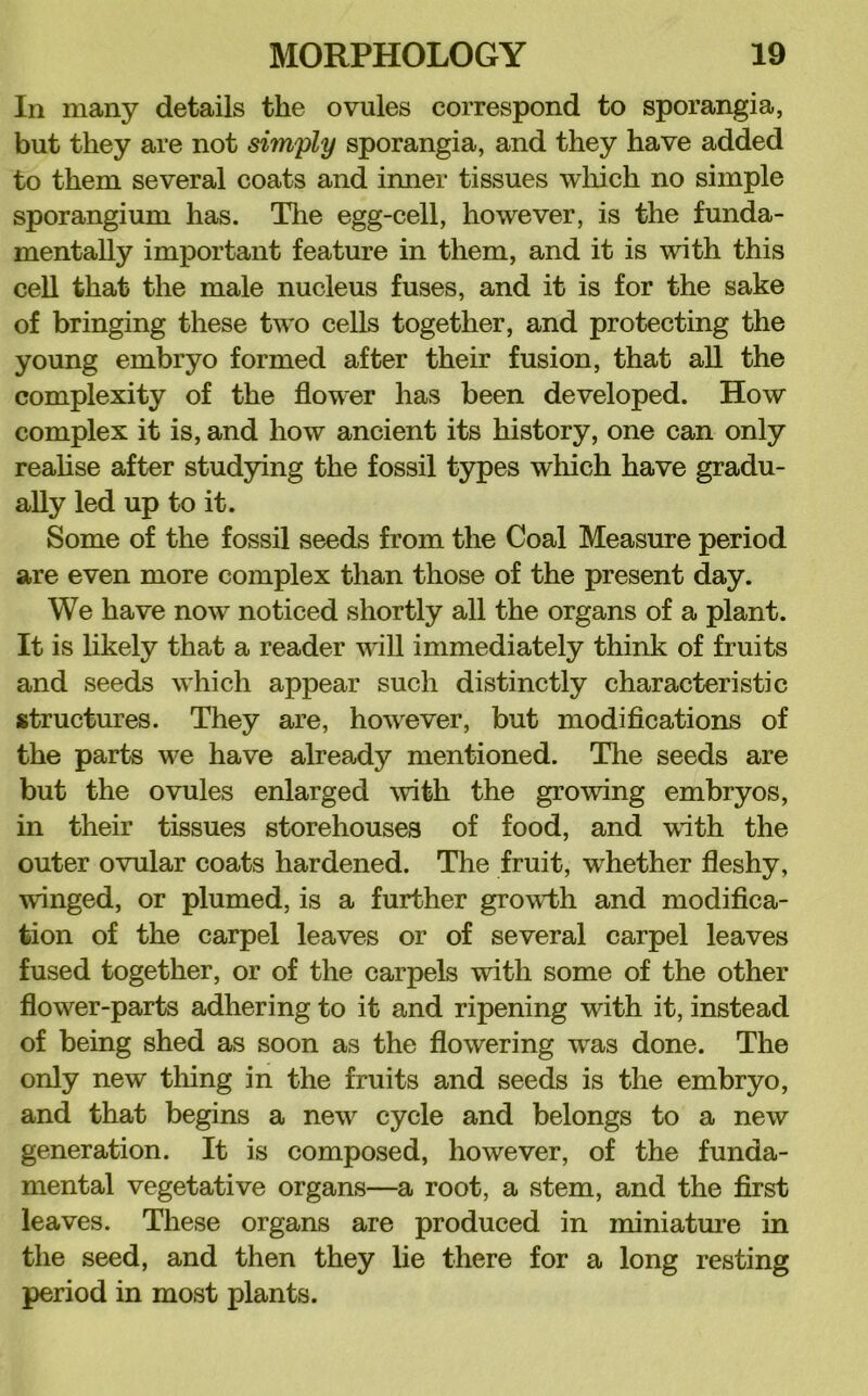 In many details the ovules correspond to sporangia, but they are not simply sporangia, and they have added to them several coats and inner tissues wliich no simple sporangium has. The egg-cell, however, is the funda- mentally imj)ortant feature in them, and it is with this cell that the male nucleus fuses, and it is for the sake of bringing these two cells together, and protecting the young embryo formed after their fusion, that all the complexity of the flower has been developed. How complex it is, and how ancient its history, one can only realise after studying the fossil types which have gradu- ally led up to it. Some of the fossil seeds from the Coal Measure period are even more complex than those of the present day. We have now noticed shortly all the organs of a plant. It is hkely that a reader will immediately think of fruits and seeds which appear such distinctly characteristic structures. They are, however, but modiflcations of the parts we have already mentioned. Tlie seeds are but the ovules enlarged ^vith the growing embryos, in their tissues storehouses of food, and with the outer ovular coats hardened. The fruit, whether fleshy, winged, or plumed, is a further grovd-h and modifica- tion of the carpel leaves or of several carpel leaves fused together, or of the carpels with some of the other flower-parts adhering to it and ripening with it, instead of being shed as soon as the flowering was done. The only new thing in the fruits and seeds is the embryo, and that begins a new cycle and belongs to a new generation. It is composed, however, of the funda- mental vegetative organs—a root, a stem, and the first leaves. These organs are produced in miniature in the seed, and then they lie there for a long resting period in most plants.