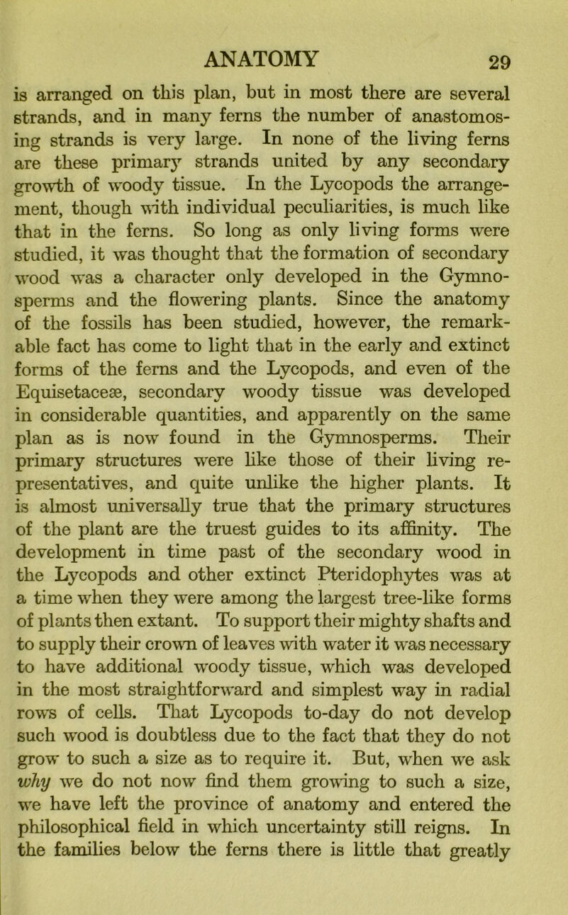 is arranged on this plan, but in most there are several strands, and in many ferns the number of anastomos- ing strands is very large. In none of the living ferns are these primary’’ strands united by any secondary growth of woody tissue. In the Lycopods the arrange- ment, though with individual peculiarities, is much like that in the ferns. So long as only living forms were studied, it was thought that the formation of secondary wood was a character only developed in the Gymno- sperms and the flowering plants. Since the anatomy of the fossils has been studied, however, the remark- able fact has come to light that in the early and extinct forms of the ferns and the Lycopods, and even of the Equisetacese, secondary woody tissue was developed in considerable quantities, and apparently on the same plan as is now found in the Gynmosperms. Their primary structures were hke those of their living re- presentatives, and quite unlike the higher plants. It is almost universally true that the primary structures of the plant are the truest guides to its affinity. The development in time past of the secondary wood in the Lycopods and other extinct Pteridophytes was at a time when they were among the largest tree-like forms of plants then extant. To support their mighty shafts and to supply their crown of leaves with water it was necessary to have additional woody tissue, wffiich was developed in the most straightforward and simplest way in radial row's of cells. Tliat Lycopods to-day do not develop such wood is doubtless due to the fact that they do not grow to such a size as to require it. But, when we ask why we do not now find them grow'ing to such a size, w'e have left the province of anatomy and entered the philosophical field in which uncertainty still reigns. In the families below the ferns there is little that greatly