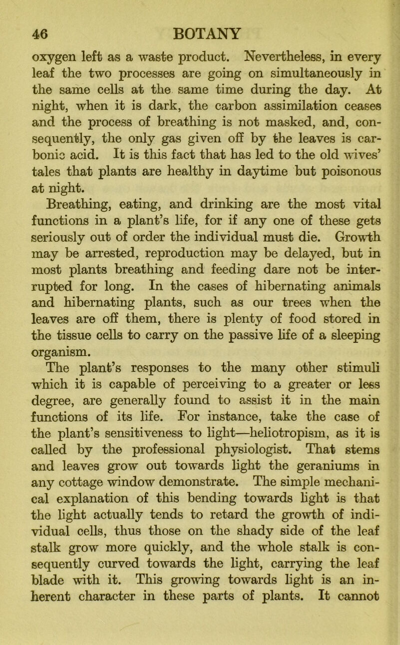 oxygen left as a waste product. Nevertheless, in every leaf the two processes are going on simultaneously in the same cells at the same time during the day. At night, when it is dark, the carbon assimilation ceases and the process of breathing is not masked, and, con- sequently, the only gas given off by the leaves is car- bonic acid. It is this fact that has led to the old vuves’ tales that plants are healthy in daytime but poisonous at night. Breathing, eating, and drinking are the most vital functions in a plant’s life, for if any one of these gets seriously out of order the individual must die. Growth may be arrested, reproduction may be delayed, but in most plants breathing and feeding dare not be inter- rupted for long. In the cases of hibernating animals and hibernating plants, such as our trees when the leaves are off them, there is plenty of food stored in the tissue ceUa to carry on the passive life of a sleeping organism. The plant’s responses to the many other stimuli which it is capable of perceiving to a greater or less degree, are generally found to assist it in the main functions of its life. For instance, take the case of the plant’s sensitiveness to light—heliotropism, as it is called by the professional physiologist. That stems and leaves grow out towards light the geraniums in any cottage window demonstrate. The simple mechani- cal explanation of this bending towards light is that the light actually tends to retard the growth of indi- vidual cells, thus those on the shady side of the leaf stalk grow more quickly, and the whole stalk is con- sequently curved towards the light, carrying the leaf blade with it. This growing towards light is an in- herent character in these parts of plants. It cannot