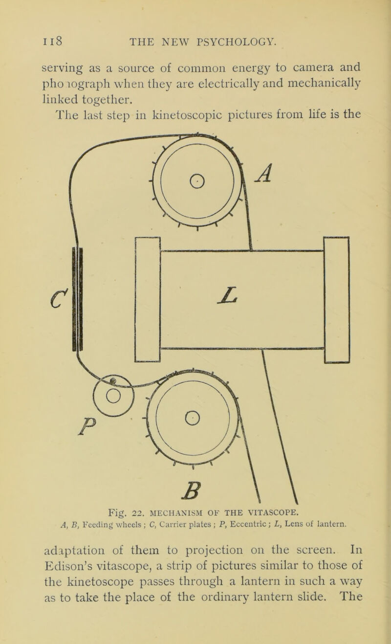 serving as a source of common energy to camera and pho lograph when they are electrically and mechanically linked together. The last step in kinetoscopic pictures from life is the Fig. 22. MECHANISM OF THE VITASCOPE. A, B, Feeding wheels ; C, Carrier plates ; P, Eccentric ; L, Lens of lantern. adaptation of them to projection on the screen. In Edison’s vitascope, a strip of pictures similar to those of the kinetoscope passes through a lantern in such a way as to take the place of the ordinary lantern slide. The