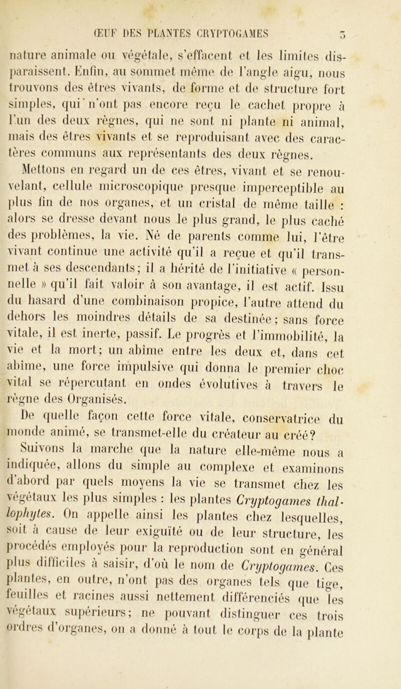 nature animale ou végétale, s’effacent et les limites dis- paraissent. Enfin, au sommet même de l’angle aigu, nous trouvons des êtres vivants, de forme et de structure fort simples, qui'n’ont pas encore reçu le cachet propre à l’un des deux règnes, qui ne sont ni plante ni animal, mais des êtres vivants et se reproduisant avec des carac- tères communs aux représentants des deux règnes. Mettons en regard un de ces êtres, vivant et se renou- velant, cellule microscopique presque imperceptible au plus fin de nos organes, et un cristal de même taille : alors se dresse devant nous le plus grand, le plus caché des problèmes, la vie. Né de parents comme lui, l’être vivant continue une activité qu’il a reçue et qu’il trans- met. a ses descendants ; il a hérité de 1 initiative (( person- nelle » qu’il fait valoir à son avantage, il est actif. Issu du hasard d’une combinaison propice, l’autre attend du dehors les moindres détails de sa destinée ; sans force vitale, il est inerte, passif. Le progrès et l’immobilité, la vie et la mort; un abîme entre les deux et, dans cet abîme, une force impulsive qui donna le premier choc vital se répercutant en ondes évolutives à travers le règne des Organisés. De quelle façon cette force vitale, conservatrice du monde animé, se transmet-elle du créateur au créé? Suivons la marche que la nature elle-même nous a indiquée, allons du simple au complexe et examinons d’abord par quels moyens la vie se transmet chez les végétaux les plus simples : les plantes Cryptogames thal- lophytes. On appelle ainsi les plantes chez lesquelles, soit à cause de leur exiguïté ou de leur structure, les procédés employés pour la reproduction sont en général plus difficiles à saisir, d’où le nom de Cryptogames. Ces plantes, en outre, n’ont pas des organes tels que tige, feuilles et racines aussi nettement différenciés que les végétaux supérieurs; ne pouvant distinguer ces trois ordres d’organes, on a donné à tout le corps de la plante