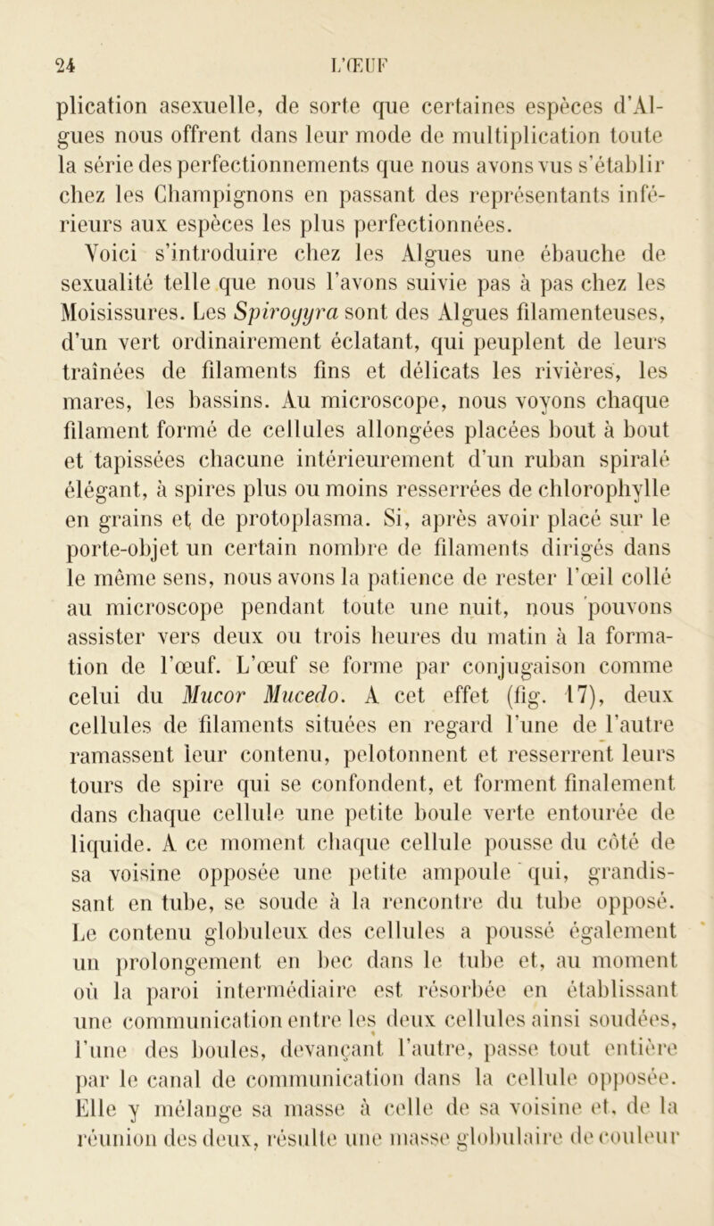 plication asexuelle, de sorte que certaines espèces d’Al- gues nous offrent dans leur mode de multiplication toute la série des perfectionnements que nous avons vus s’établir chez les Champignons en passant des représentants infé- rieurs aux espèces les plus perfectionnées. Voici s’introduire chez les Algues une ébauche de sexualité telle que nous l’avons suivie pas à pas chez les Moisissures. Les Spiroyyra sont des Algues filamenteuses, d’un vert ordinairement éclatant, qui peuplent de leurs traînées de fdaments fins et délicats les rivières, les mares, les bassins. Au microscope, nous voyons chaque filament formé de cellules allongées placées bout à bout et tapissées chacune intérieurement d’un ruban spiralé élégant, à spires plus ou moins resserrées de chlorophylle en grains et, de protoplasma. Si, après avoir placé sur le porte-objet un certain nombre de filaments dirigés dans le môme sens, nous avons la patience de rester l’œil collé au microscope pendant toute une nuit, nous pouvons assister vers deux ou trois heures du matin à la forma- tion de l’œuf. L’œuf se forme par conjugaison comme celui du Mucor Mucedo. A cet effet (fig. 17), deux cellules de fdaments situées en regard Lune de l'autre ramassent leur contenu, pelotonnent et resserrent leurs tours de spire qui se confondent, et forment finalement dans chaque cellule une petite boule verte entourée de liquide. A ce moment chaque cellule pousse du côté de sa voisine opposée une petite ampoule qui, grandis- sant en tube, se soude à la rencontre du tube opposé. Le contenu globuleux des cellules a poussé également un prolongement en bec dans le tube et, au moment où la paroi intermédiaire est résorbée en établissant une communication entre les deux cellules ainsi soudées, l’une des boules, devançant l’autre, passe tout entière par le canal de communication dans la cellule opposée. Elle y mélange sa masse à celle de sa voisine et, de la réunion des deux, résulte une masse globulaire de couleur