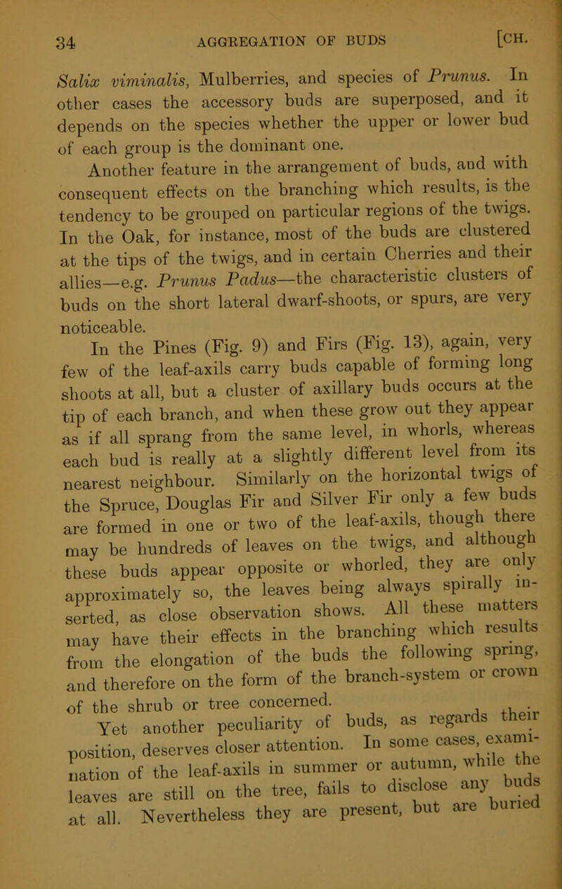 Scilix viminalis, Mulberries, and species of Prunus. In other cases the accessory buds are superposed, and it depends on the species whether the upper or lower bud of each group is the dominant one. Another feature in the arrangement of buds, and with consequent effects on the branching which results, is the tendency to be grouped on particular regions of the twigs. In the Oak, for instance, most of the buds are clustered at the tips of the twigs, and in certain Cherries and their allies—e.g. Prunus Padua—the characteristic clusters of buds on the short lateral dwarf-shoots, or spurs, are very noticeable. In the Pines (Fig. 9) and Firs (Fig. 13), again, very few of the leaf-axils carry buds capable of forming long shoots at all, but a cluster of axillary buds occurs at the tip of each branch, and when these grow out they appear as if all sprang from the same level, in whorls, whereas each bud is really at a slightly different level from its nearest neighbour. Similarly on the horizontal twigs of the Spruce, Douglas Fir and Silver Fir only a few buds are formed in one or two of the leal-axils, though there may be hundreds of leaves on the twigs, and although these buds appear opposite or whorled, they are on } approximately so, the leaves being always spirally in- serted, as close observation shows. All these matters may have their effects in the branching which results from the elongation of the buds the following spring, and therefore on the form of the branch-system or crown of the shrub or tree concerned. Yet another peculiarity of buds, as regards their position, deserves closer attention. In some cases, exami- nation of the leaf-axils in summer or autumn, while th leaves are still on the tree, fa,Is to disoloee an) buds at all. Nevertheless they are present, but aie bur
