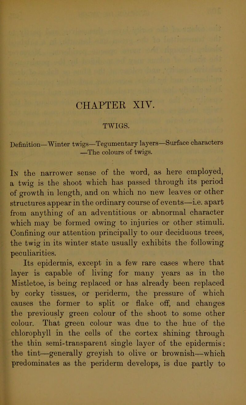 TWIGS. Definition—Winter twigs—Tegumentary layers—Surface characters —The colours of twigs. In the narrower sense of the word, as here employed, a twig is the shoot which has passed through its period of growth in length, and on which no new leaves or other structures appear in the ordinary course of events—i.e. apart from anything of an adventitious or abnormal character which may be formed owing to injuries or other stimuli. Confining our attention principally to our deciduous trees, the twig in its winter state usually exhibits the following peculiarities. Its epidermis, except in a few rare cases where that layer is capable of living for many years as in the Mistletoe, is being replaced or has already been replaced by corky tissues, or periderm, the pressure of which causes the former to split or flake off, and changes the previously green colour of the shoot to some other colour. That green colour was due to the hue of the chlorophyll in the cells of the cortex shining through the thin semi-transparent single layer of the epidermis: the tint—generally greyish to olive or brownish—which predominates as the periderm develops, is due partly to