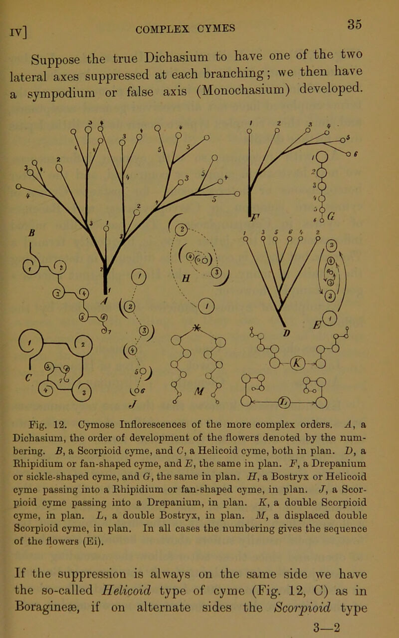 Suppose the true Dichasium to have one of the two lateral axes suppressed at each branching; we then have a sympodium or false axis (Monochasium) developed. Fig. 12. Cymose Inflorescences of the more complex orders. A, a Dichasium, the order of development of the flowers denoted by the num- bering. B, a Scorpioid cyme, and G, a Helicoid cyme, both in plan. D, a Rhipidium or fan-shaped cyme, and E, the same in plan. F, a Drepanium or sickle-shaped cyme, and G, the same in plan. H, a Bostryx or Helicoid cyme passing into a Rhipidium or fan-shaped cyme, in plan. J, a Scor- pioid cyme passing into a Drepanium, in plan. K, a double Scorpioid cyme, in plan. L, a double Bostryx, in plan. M, a displaced double Scorpioid cyme, in plan. In all cases the numbering gives the sequence of the flowers (Ei). If the suppression is always on the same side we have the so-called Helicoid type of cyme (Fig. 12, C) as in Boraginese, if on alternate sides the Scorpioid type 3—2