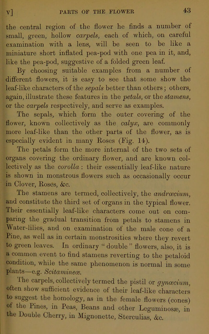 the central region of the flower he finds a number of small, green, hollow carpels, each of which, on careful examination with a lens, will be seen to be like a miniature short inflated pea-pod with one pea in it, and, like the pea-pod, suggestive of a folded green leaf. By choosing suitable examples from a number of different flowers, it is easy to see that some show the leaf-like characters of the sepals better than others; others, again, illustrate these features in the petals, or the stamens, or the carpels respectively, and serve as examples. The sepals, which form the outer covering of the flower, known collectively as the calyx, are commonly more leaf-like than the other parts of the flower, as is especially evident in many Roses (Fig. 14). The petals form the more internal of the two sets of organs covering the ordinary flower, and are known col- lectively as the corolla: their essentially leaf-like nature is shown in monstrous flowers such as occasionally occur in Clover, Roses, &c. The stamens are termed, collectively, the andrcecium, and constitute the third set of organs in the typical flower. Their essentially leaf-like characters come out on com- paring the gradual transition from petals to stamens in Water-lilies, and on examination of the male cone of a Pine, as well as in certain monstrosities where they revert to green leaves. In ordinary “ double ” flowers, also, it is a common event to find stamens reverting to the petaloid condition, while the same phenomenon is normal in some plants—e.g. Scitaminece. lhe carpels, collectively termed the pistil or gynoecium, often show sufficient evidence of their leaf-like characters to suggest the homology, as in the female flowers (cones) of the Pines, in Peas, Beans and other Leguminosas, in the Double Cherry, in Mignonette, Sterculias, &c.