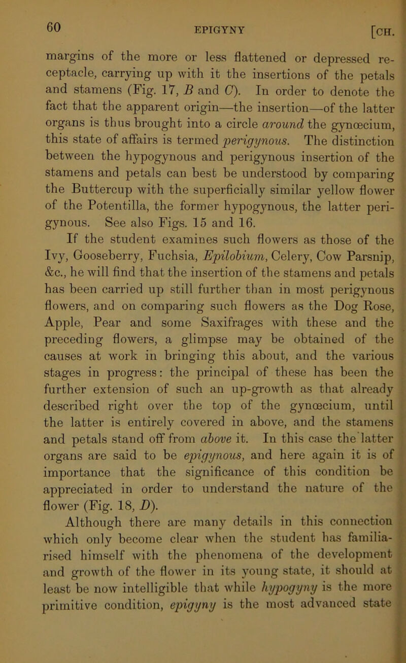 margins of the more or less flattened or depressed re- ceptacle, carrying up with it the insertions of the petals and stamens (Fig. 17, B and C). In order to denote the fact that the apparent origin—the insertion—of the latter organs is thus brought into a circle around the gyncecium, this state of affairs is termed perigynous. The distinction between the hypogynous and perigynous insertion of the stamens and petals can best be understood by comparing the Buttercup with the superficially similar yellow flower of the Potentilla, the former hypogynous, the latter peri- gynous. See also Figs. 15 and 16. If the student examines such flowers as those of the Ivy, Gooseberry, Fuchsia, Epilobium, Celery, Cow Parsnip, &c., he will find that the insertion of the stamens and petals has been carried up still further than in most perigynous flowers, and on comparing such flowers as the Dog Rose, Apple, Pear and some Saxifrages with these and the preceding flowers, a glimpse may be obtained of the causes at work in bringing this about, and the various stages in progress: the principal of these has been the further extension of such an up-growth as that already described right over the top of the gynoecium, until the latter is entirely covered in above, and the stamens and petals stand off from above it. In this case the latter organs are said to be epigynous, and here again it is of importance that the significance of this condition be appreciated in order to understand the nature of the ' flower (Fig. 18, D). Although there are many details in this connection which only become clear when the student has familia- rised himself with the phenomena of the development and growth of the flower in its young state, it should at least be now intelligible that while hypogyny is the more primitive condition, epigyny is the most advanced state