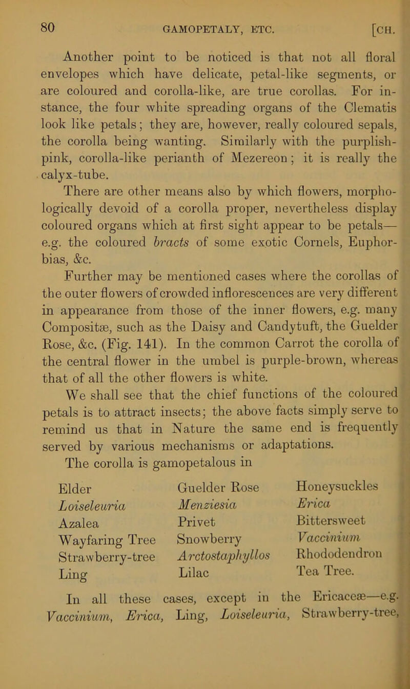 Another point to be noticed is that not all floral envelopes which have delicate, petal-like segments, or are coloured and corolla-like, are true corollas. For in- stance, the four white spreading organs of the Clematis look like petals; they are, however, really coloured sepals, the corolla being wanting. Similarly with the purplish- pink, corolla-like perianth of Mezereon ; it is really the calyx-tube. There are other means also by which flowers, morpho- logically devoid of a corolla proper, nevertheless display coloured organs which at first sight appear to be petals— e.g. the coloured bracts of some exotic Cornels, Euphor- bias, &c. Further may be mentioned cases where the corollas of the outer flowers of crowded inflorescences are very different in appearance from those of the inner flowers, e.g. many Composite, such as the Daisy and Candytuft, the Guelder Rose, &c. (Fig. 141). In the common Carrot the corolla of the central flower in the umbel is purple-brown, whereas that of all the other flowers is white. We shall see that the chief functions of the coloured petals is to attract insects; the above facts simply serve to remind us that in Nature the same end is frequently served by various mechanisms or adaptations. The corolla is gamopetalous in Elder Loiseleuria Azalea Wayfaring Tree Strawberry-tree Ling In Vaccinium, Guelder Rose Menziesia Privet Snowberry Arctostaphyllos Lilac Honeysuckles Erica Bittersweet Vaccinium Rhododendron Tea Tree. Ericaceas—e.g. Strawberry-tree, In all these cases, except in the Erica, Ling, Loiselearia,
